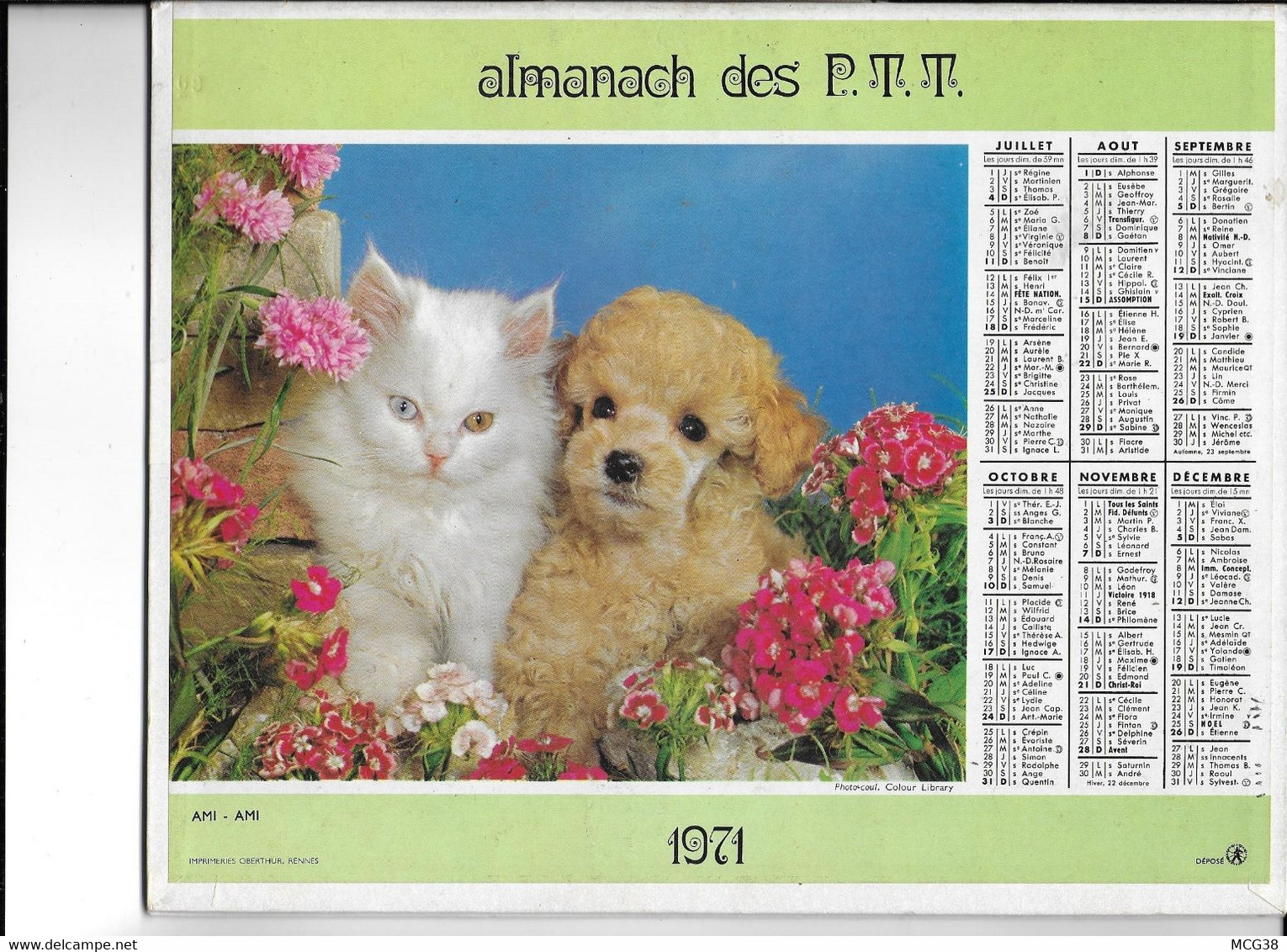 ALMANACH  PTT  1971  -  CHAT  Et  CHIENS - Grand Format : 1961-70