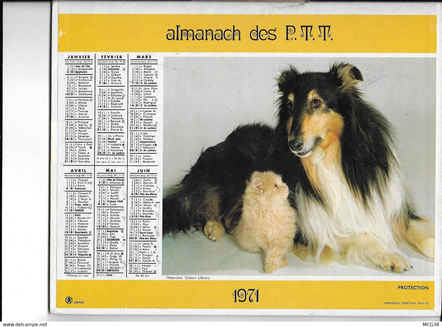 ALMANACH  PTT  1971  -  CHAT  Et  CHIENS - Tamaño Grande : 1961-70