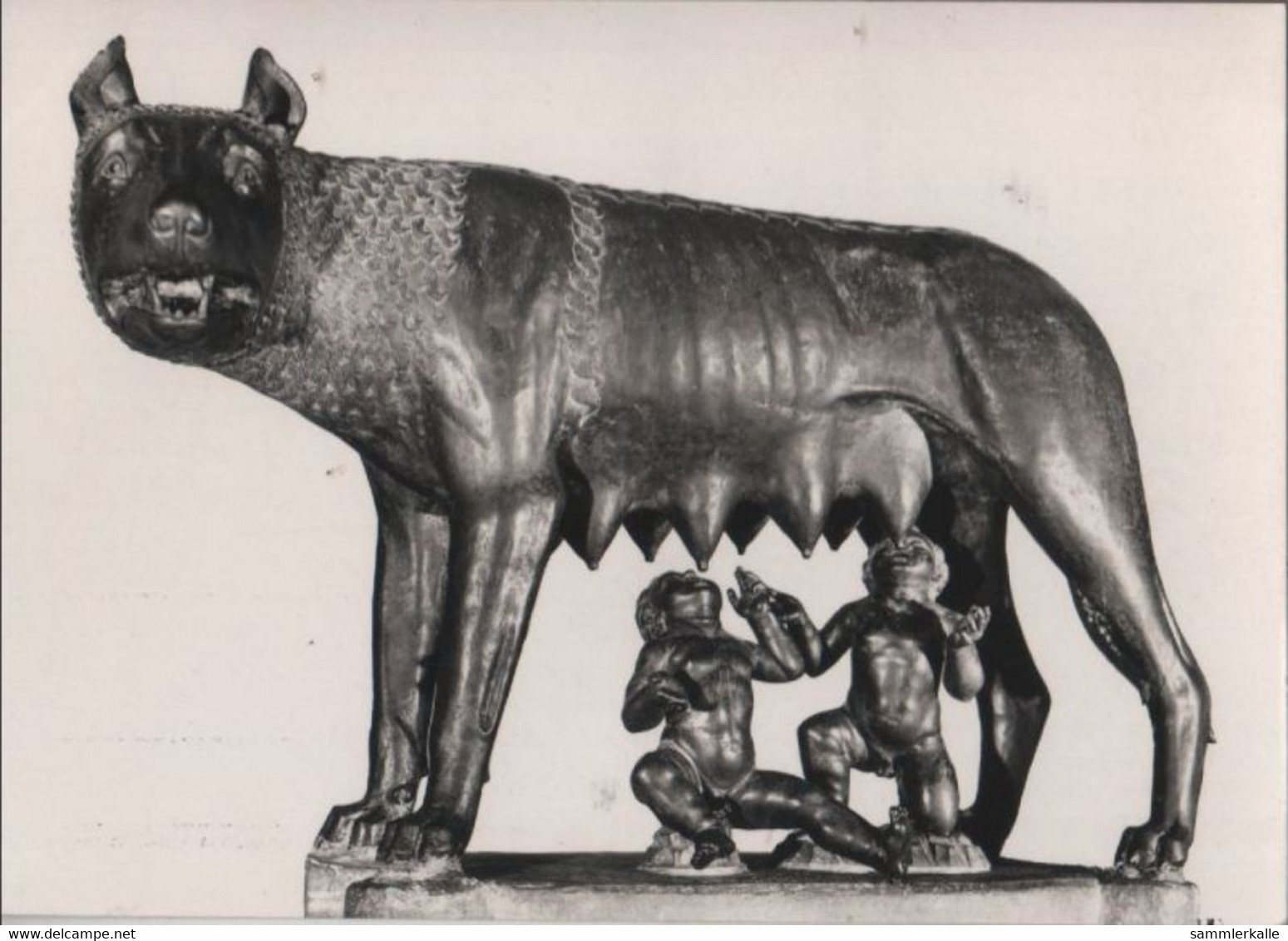 Italien - Rom - Roma - Musei Capitolini - Lupa Capitolina - Ca. 1960 - Other & Unclassified