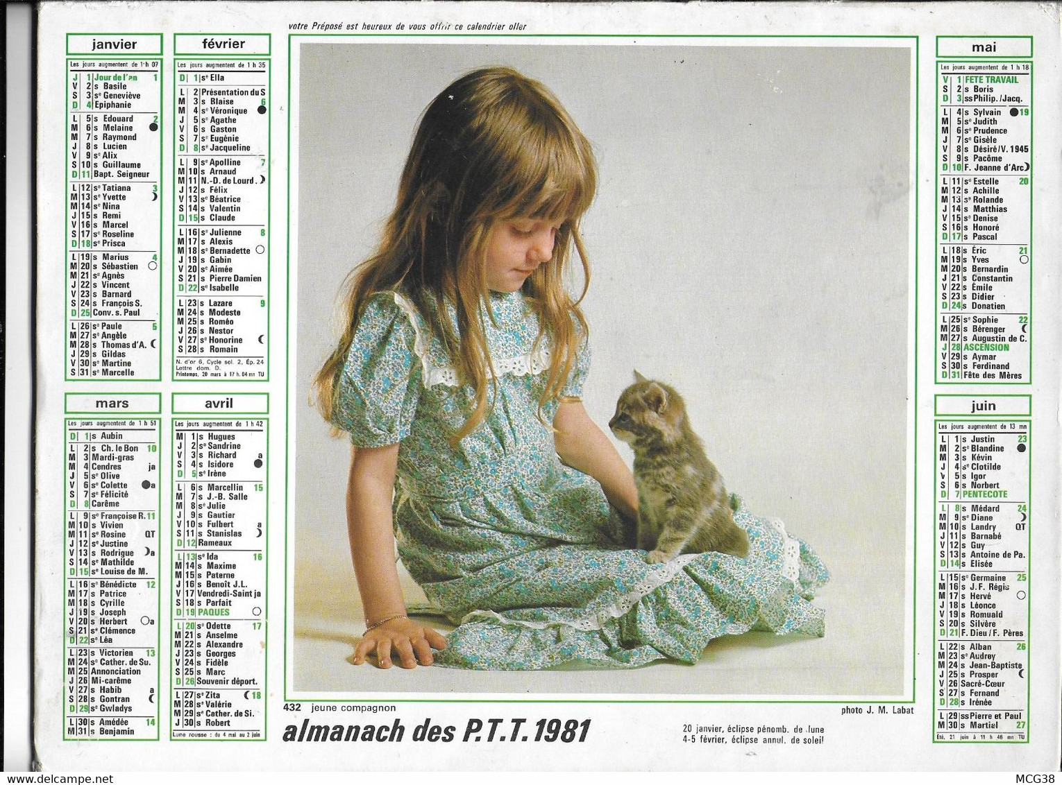 ALMANACH  PTT  1981  -  JEUNE  COMPAGNON  ,  Dans  La  BASSE  COUR - Formato Grande : 1981-90