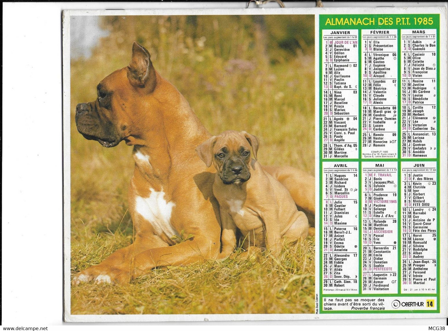 ALMANACH  PTT  1985  -  CHIENS  Et  CHATS - Grand Format : 1981-90