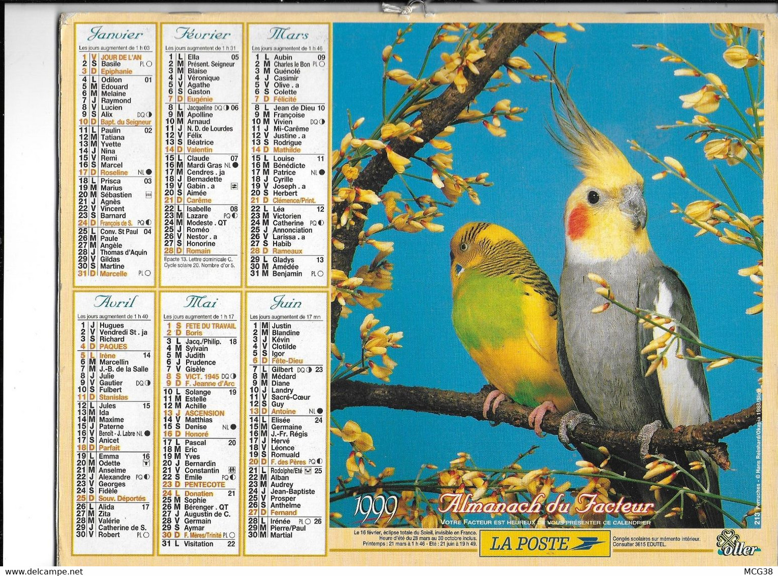 ALMANACH  PTT  1999  -  OISEAUX - Grand Format : 1991-00