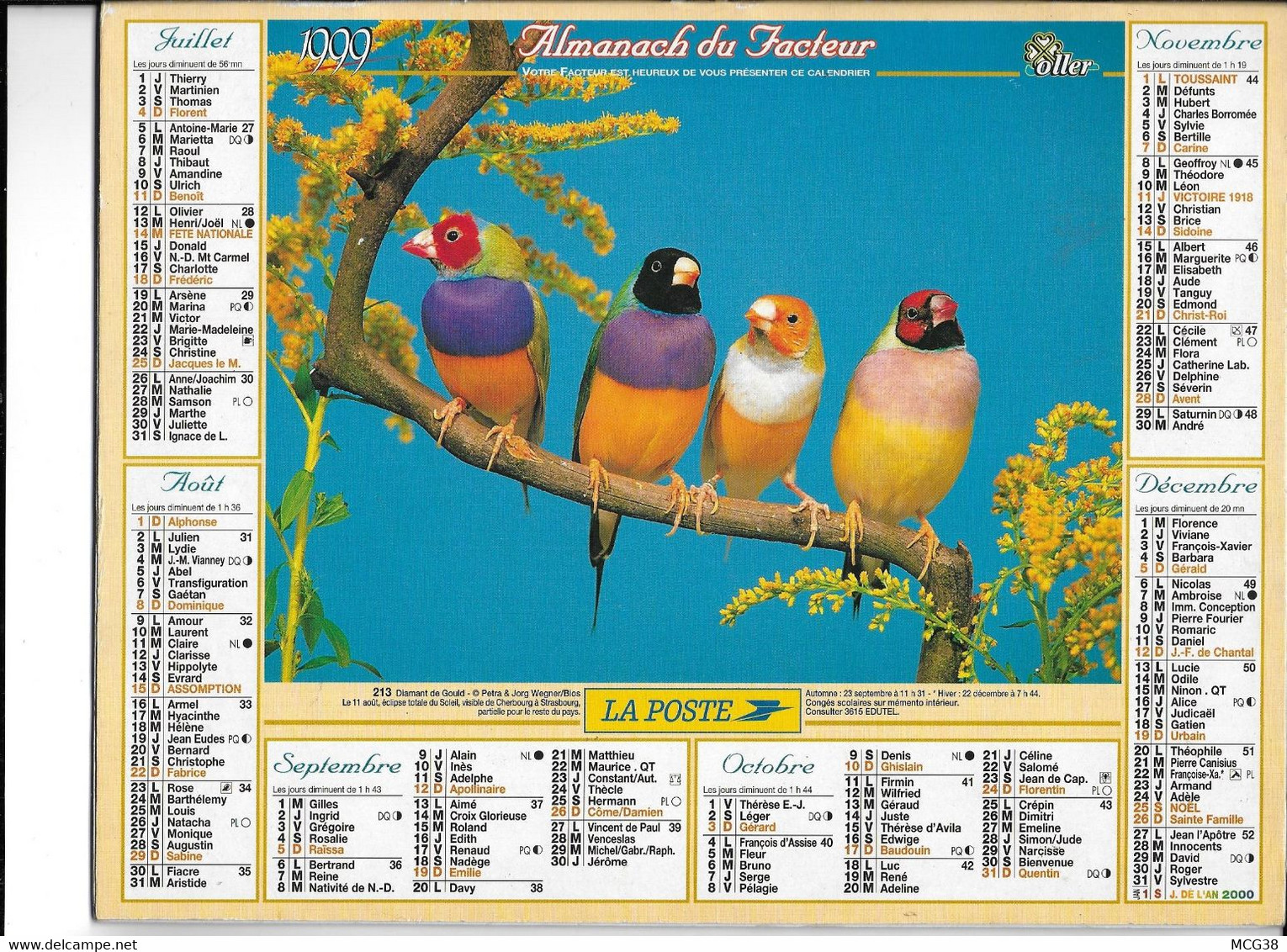 ALMANACH  PTT  1999  -  OISEAUX - Grand Format : 1991-00