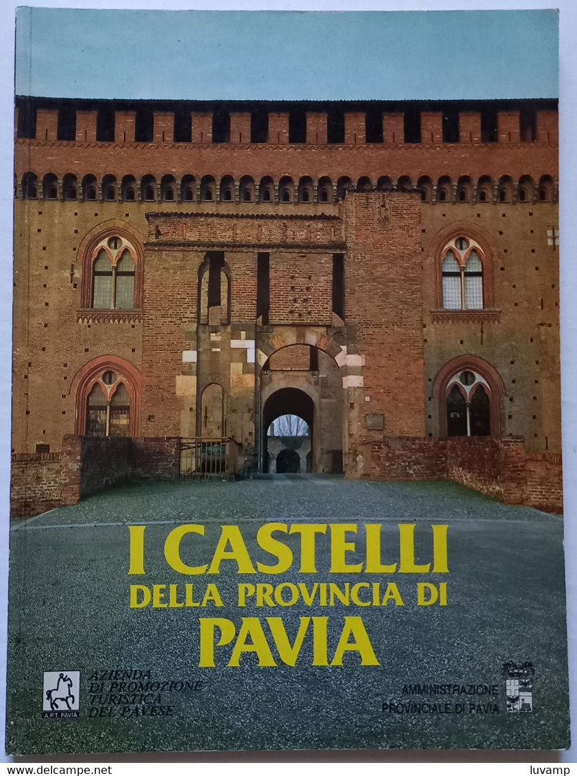 CASTELLI DELLA PROVINCIA DI PAVIA -EDIZIONE 1990  ( CART 74) - Turismo, Viaggi