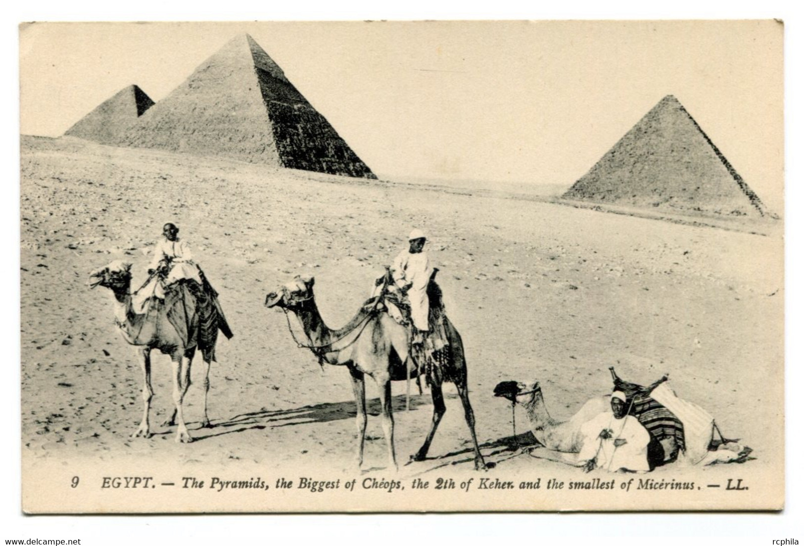 RC 20855 EGYPTE THE PYRAMIDES  WITH CAMELS CARTE POSTALE - POSTCARD - Pyramides