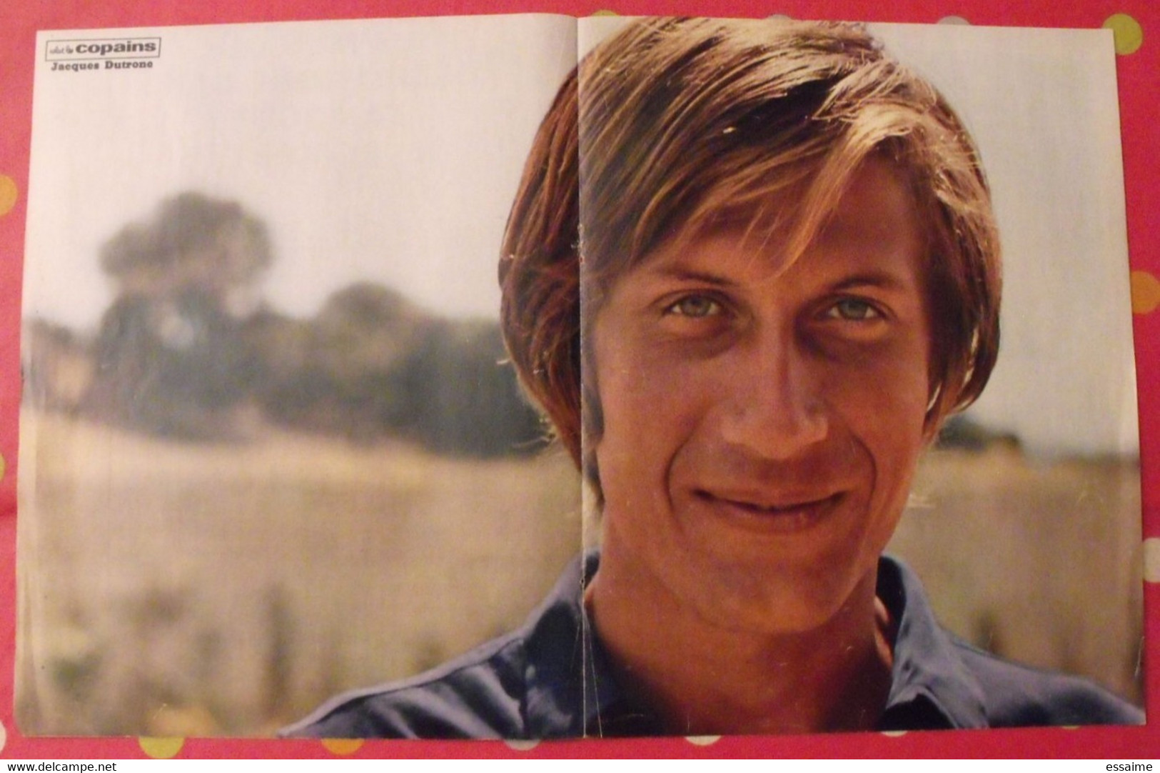 Poster Jacques Dutronc. Vers 1976. Salut Les Copains - Affiches & Posters