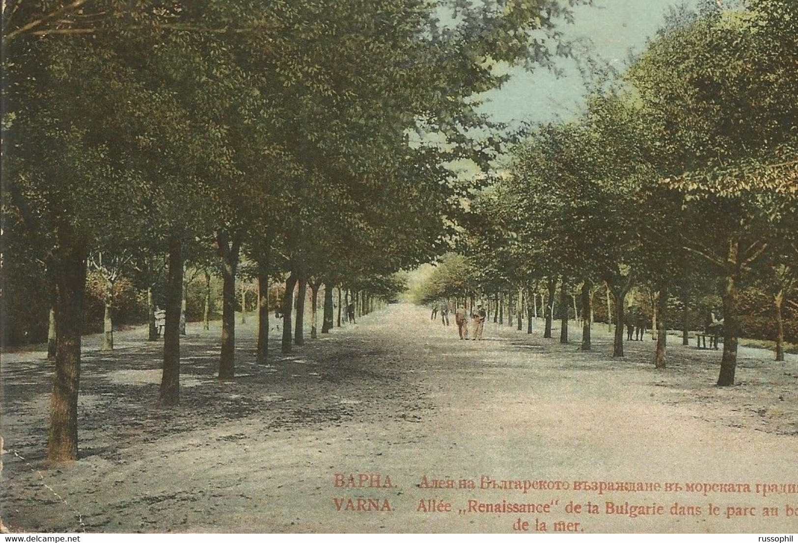 001048 - BULGARIA - VARNA - ALLEE "RENAISSANCE DE LA BULGARIE' DANS LE PARC AU BORD DE LA MER - ED. DIMITROV - 1911 - Bulgaria