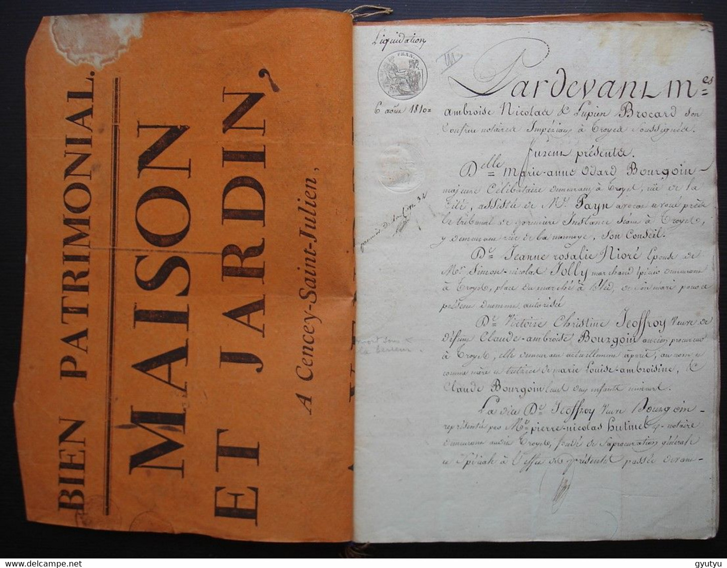 Troyes Aube 1810 88 Pages Liquidation Des Successions De Mr Antoine Bourgoin Et De Son épouse - Manuscripts