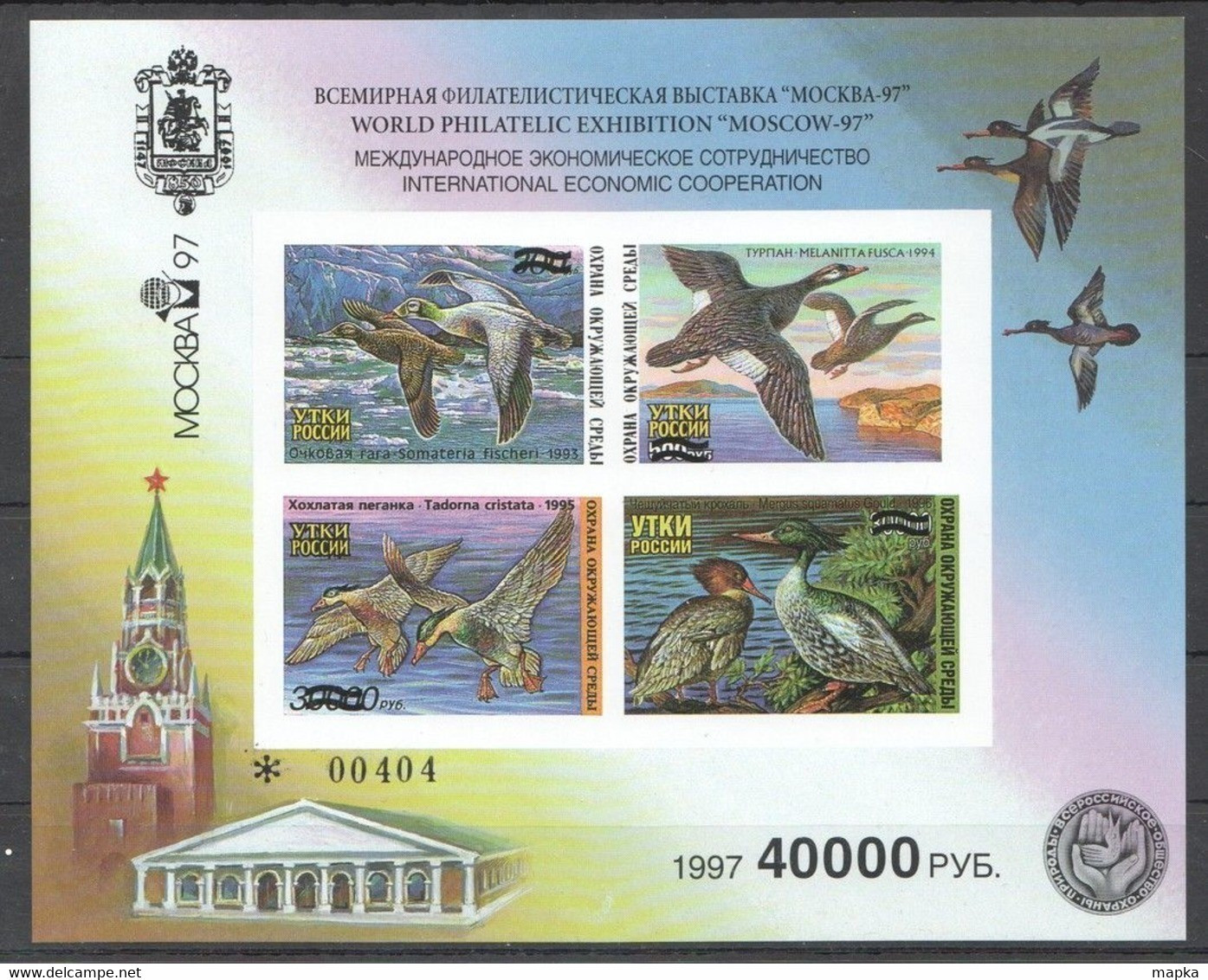 EC244 !!! IMPERFORATE 1997 RUSSIA FAUNA BIRDS DUCKS 1KB MNH - Anatre