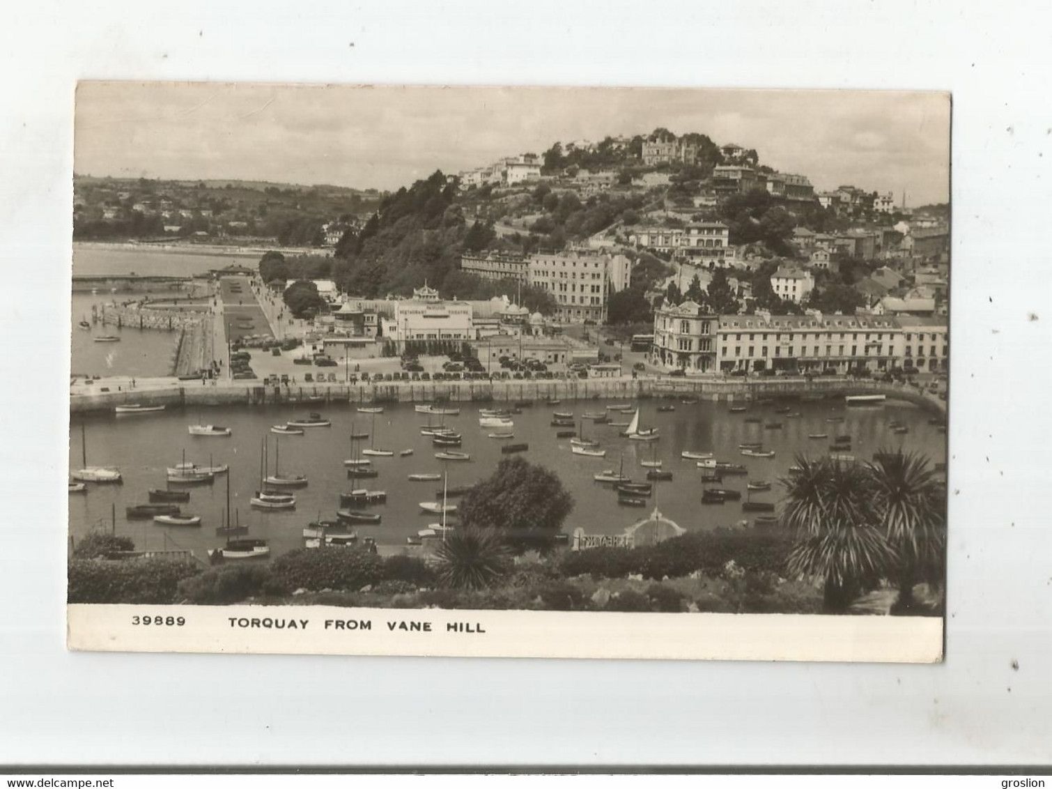 TORQUAY FROM VAN HILL 39889 - Torquay