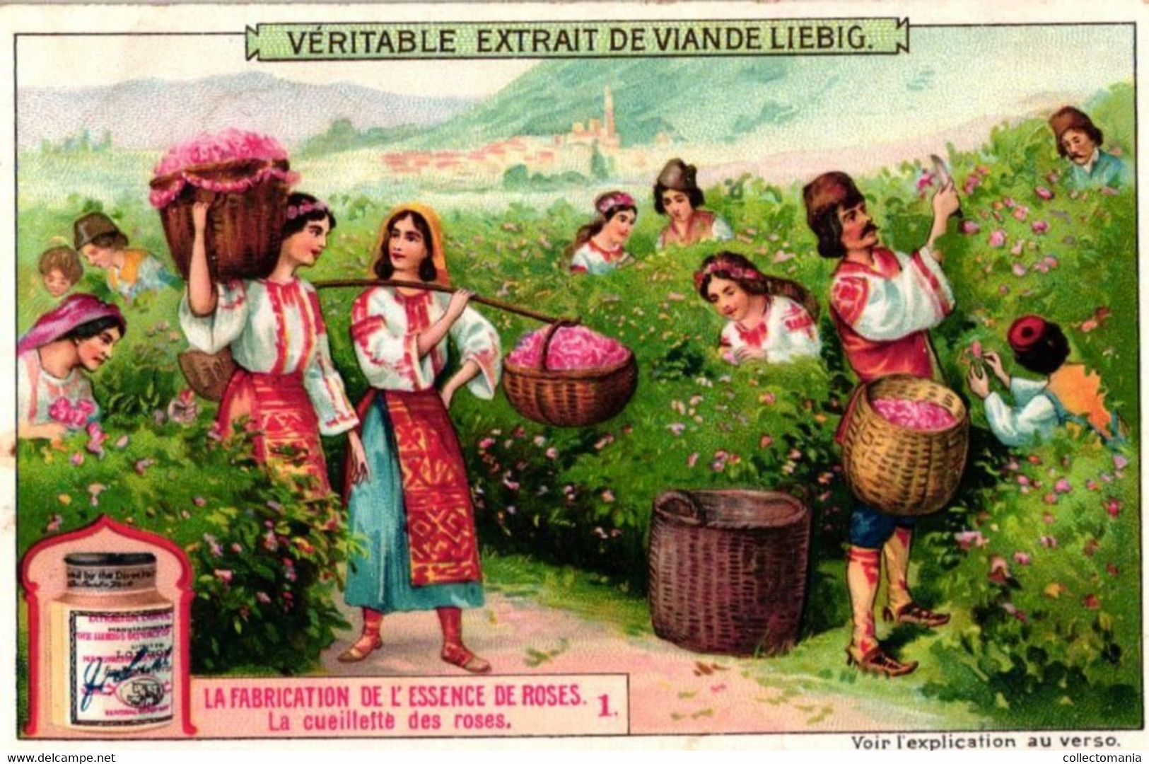 6 Cartes Chromo Fabrication De L'Essence De Roses 1908  2CP Cueilette Des Fleurs De Jasmin Parfumerie Bruno Court Grasse - Vintage (until 1960)
