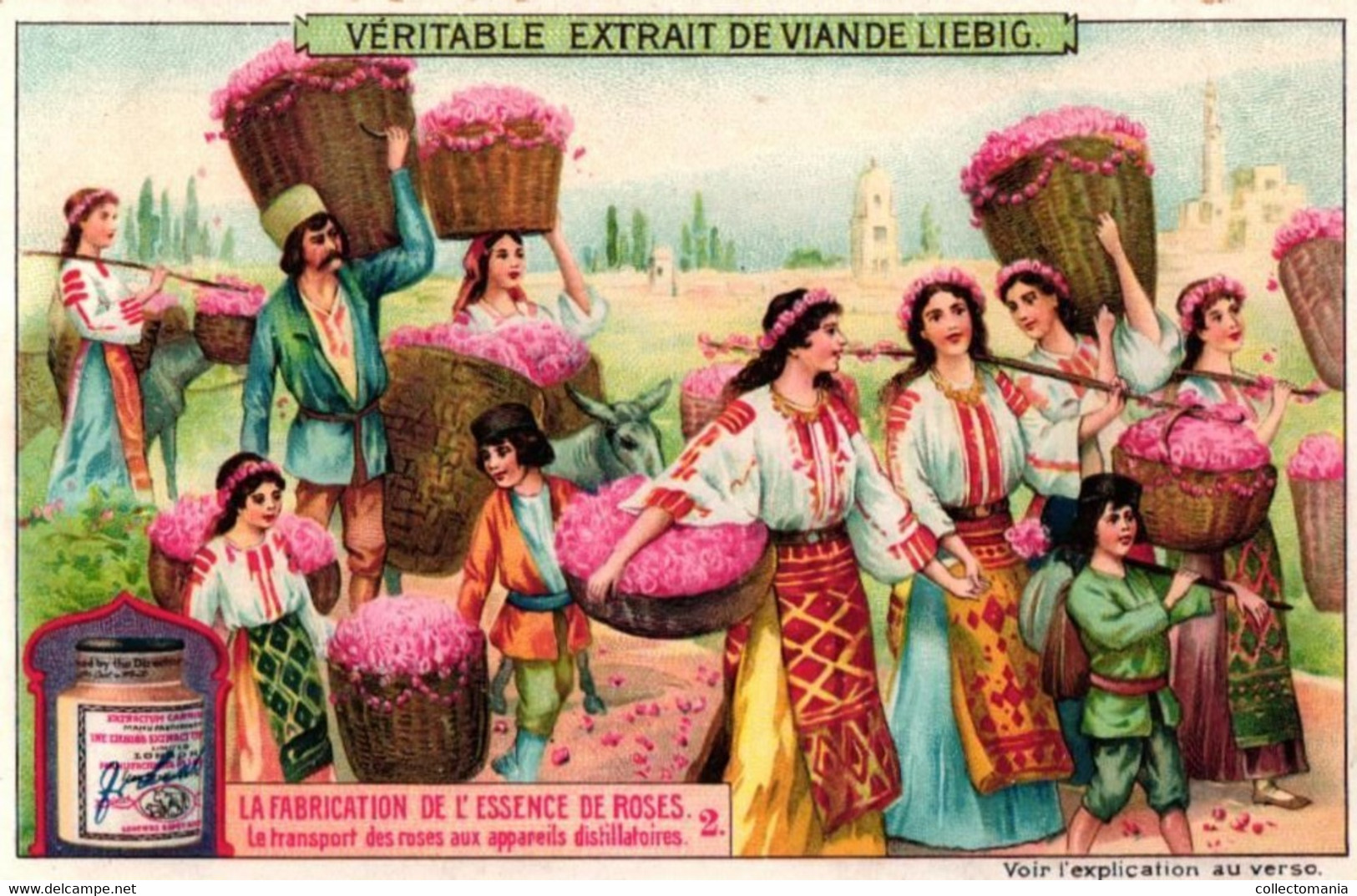 6 Cartes Chromo Fabrication De L'Essence De Roses 1908  2CP Cueilette Des Fleurs De Jasmin Parfumerie Bruno Court Grasse - Antiguas (hasta 1960)