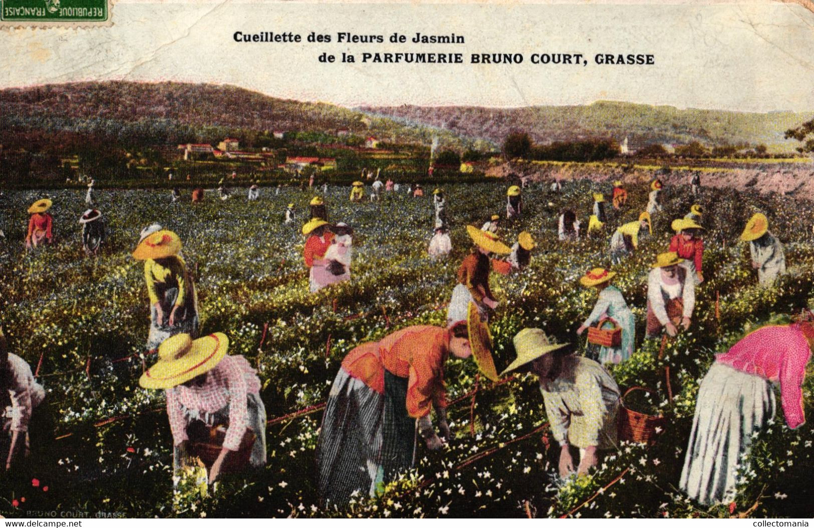 6 cartes chromo Fabrication de l'Essence de Roses 1908  2CP Cueilette des fleurs de Jasmin Parfumerie Bruno Court Grasse