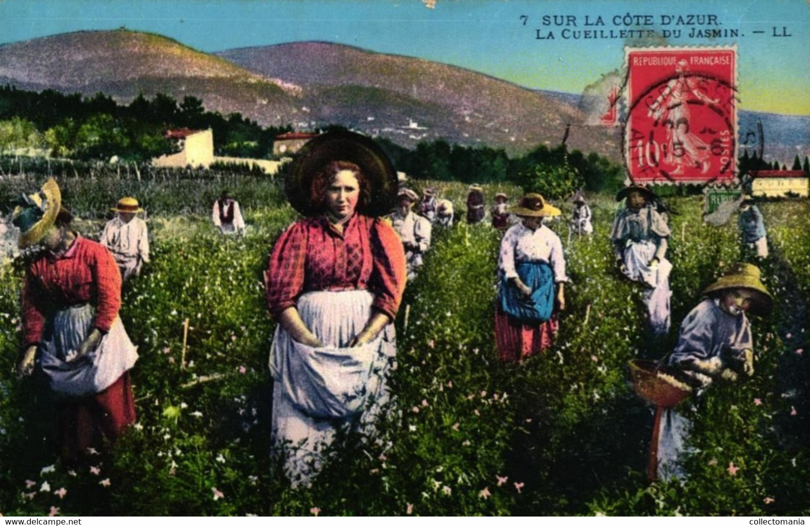 6 cartes chromo Fabrication de l'Essence de Roses 1908  2CP Cueilette des fleurs de Jasmin Parfumerie Bruno Court Grasse