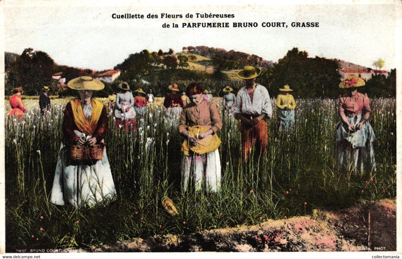 3 CP Cueillette Des Fleurs De Tubéreuses JASMIN Violtees Parfumerie Bruno Court GRASSE  Alpes-Maritimes  06 - Profumeria Antica (fino Al 1960)