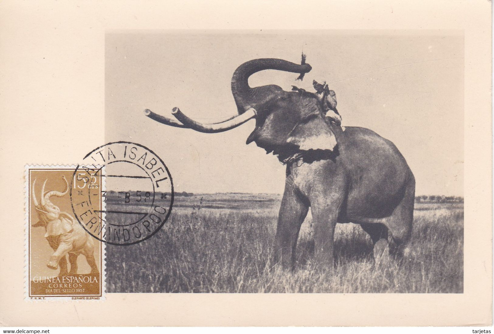 POSTAL DE FERNANDO POO DE UN ELEFANTE (ELEPHANT) DEL AÑO 1958 - (GUINEA ESPAÑOLA) - Guinée Equatoriale