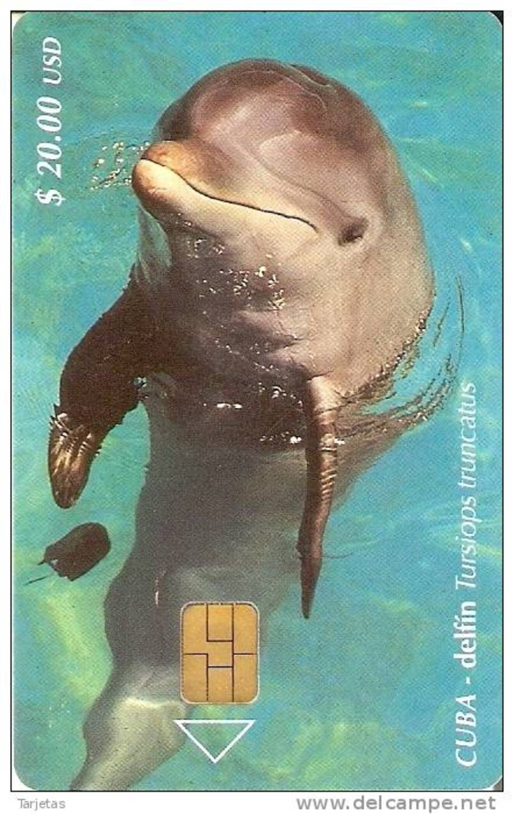 103 TARJETA DE CUBA DE UN DELFIN  (DOLPHIN) - Delphine