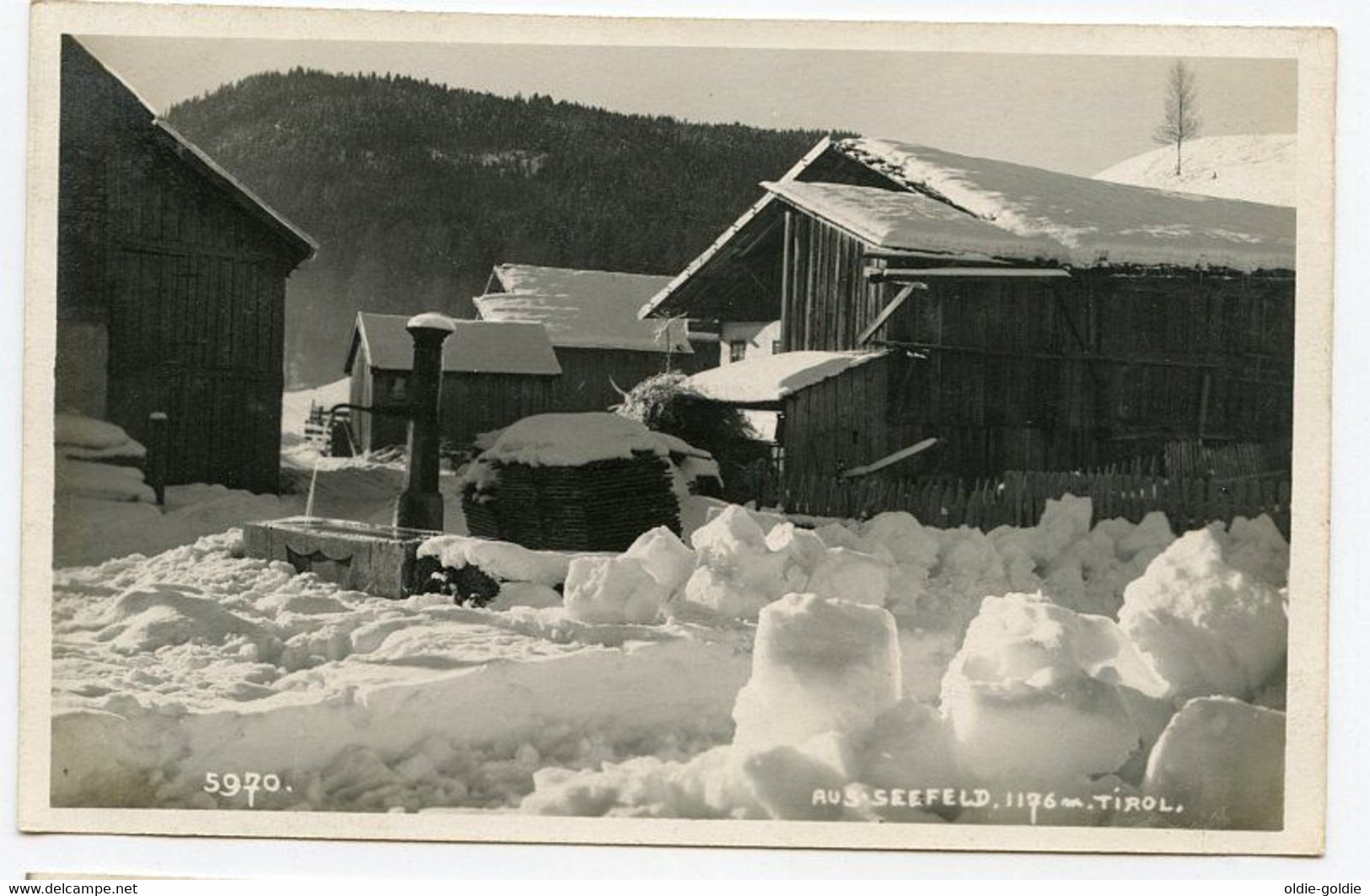 Seefeld Tirol Austria Österreich Postcard Unused 1926 - Seefeld