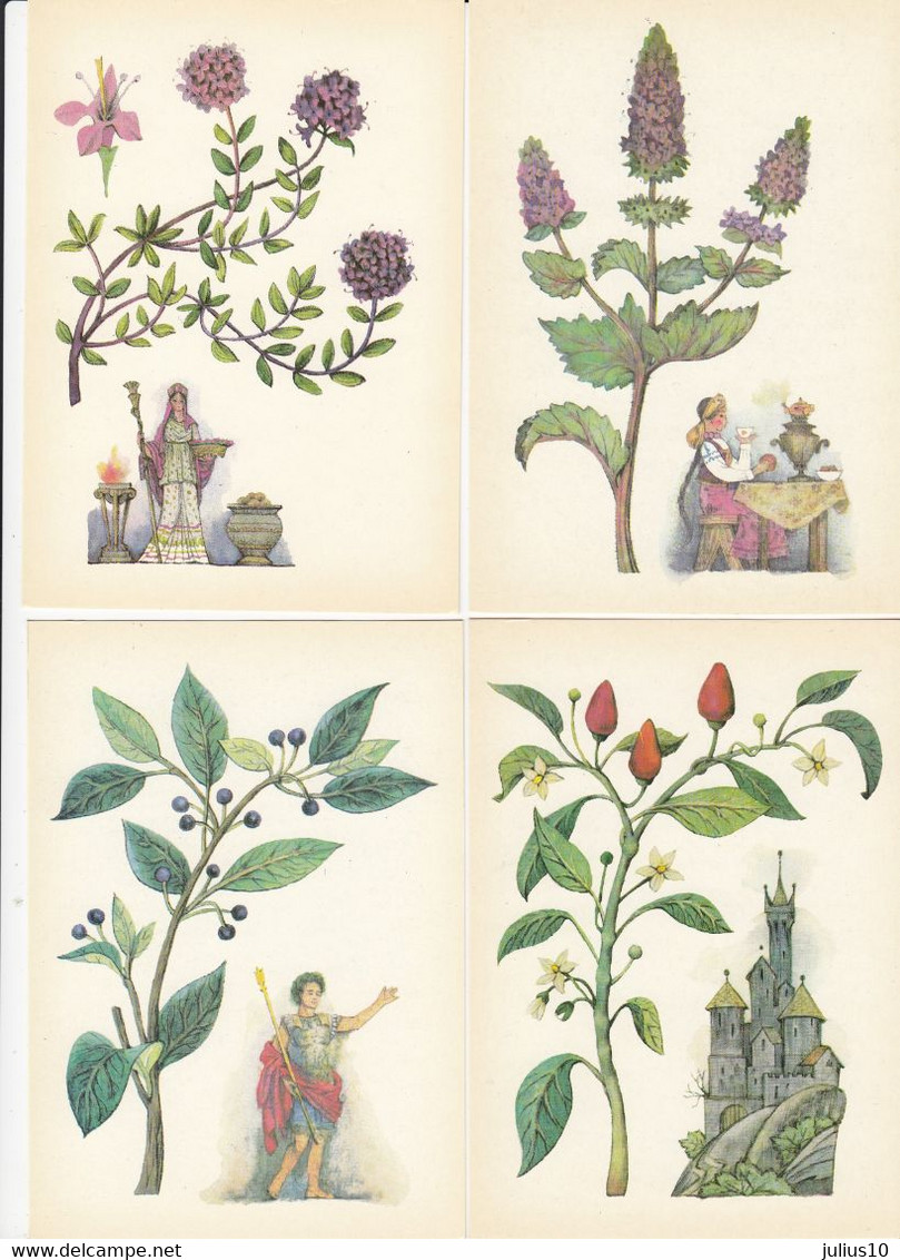 MEDICAL USEFULL PLANTS 16 Postcards 1983 #A34 - Medicinal Plants