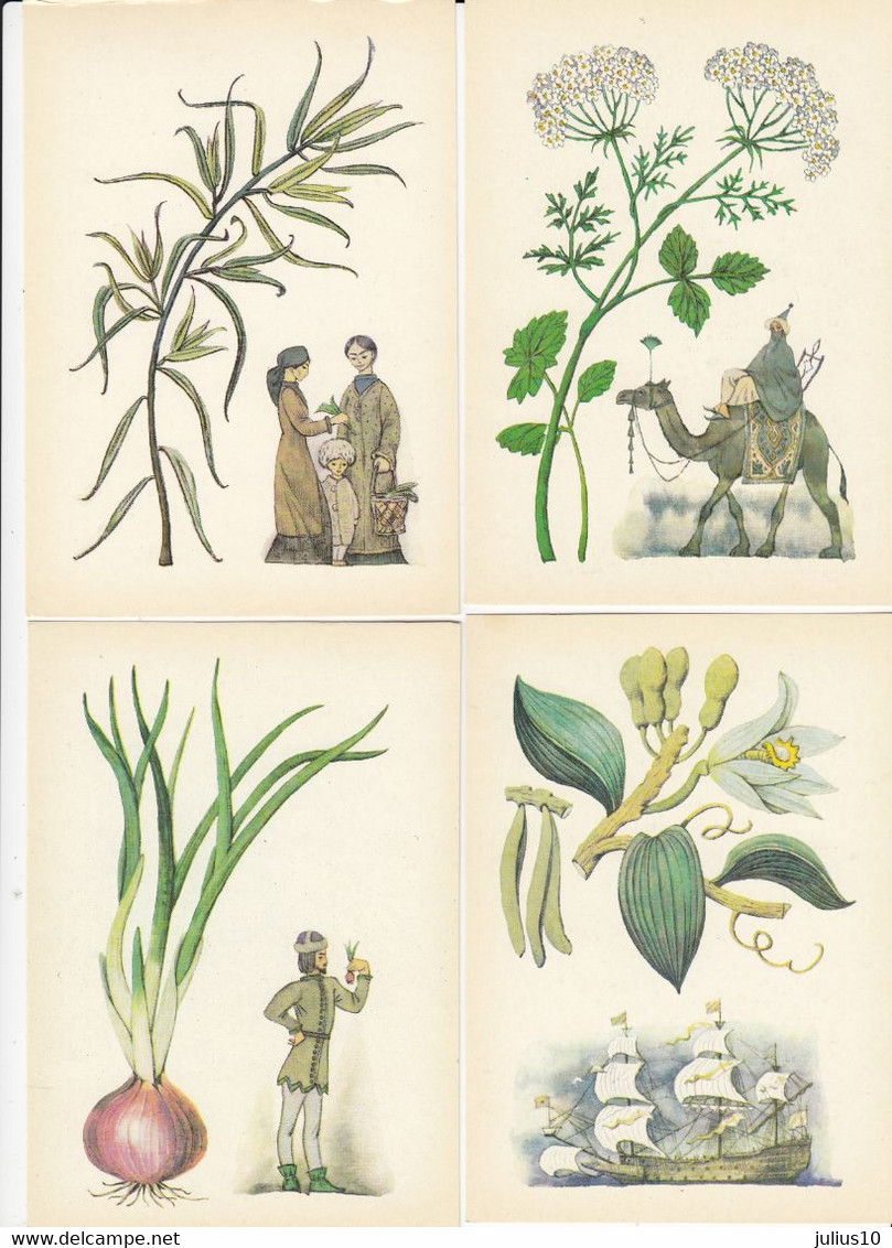 MEDICAL USEFULL PLANTS 16 Postcards 1983 #A34 - Medicinal Plants