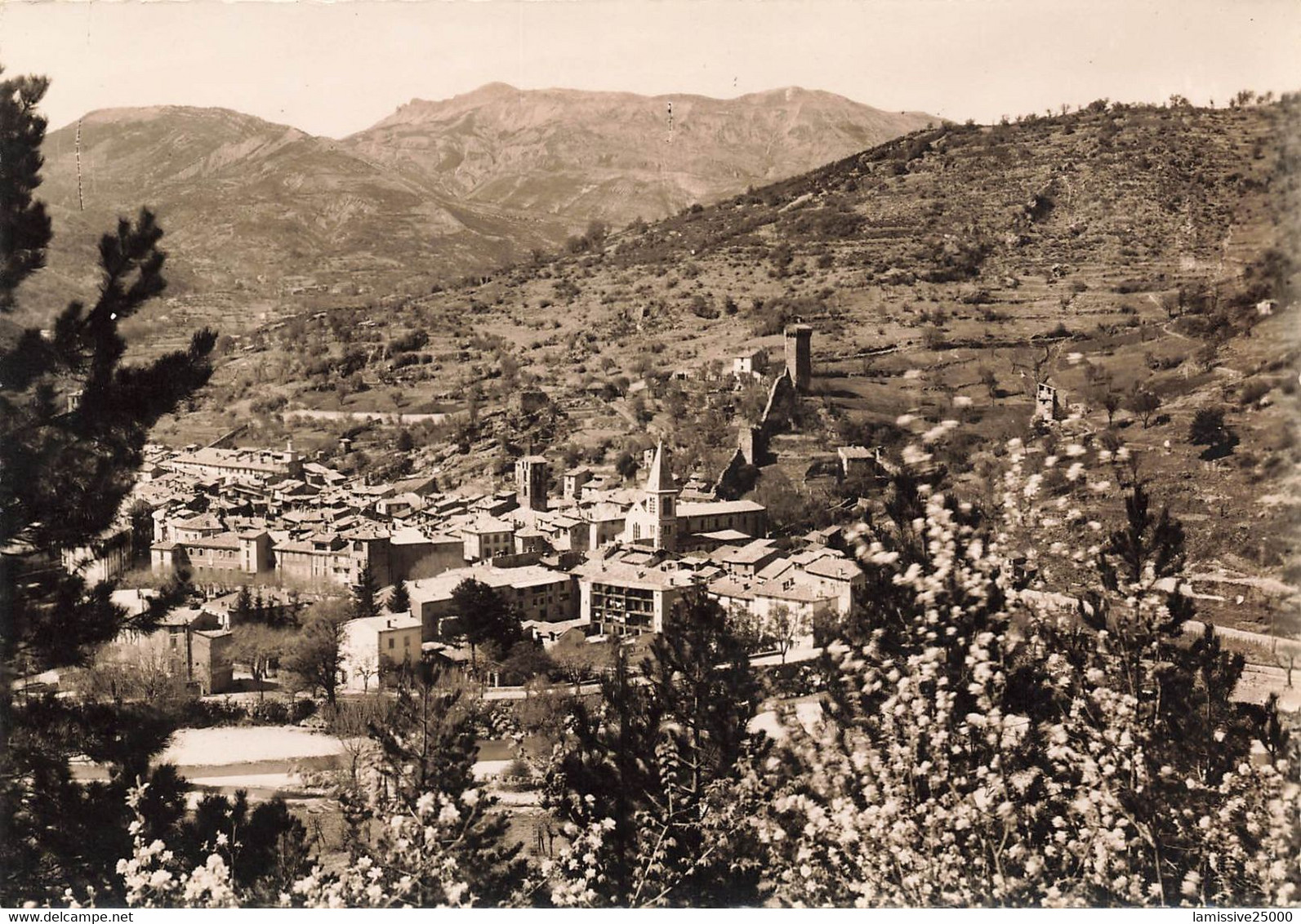 04 Castellane Vue Générale - Castellane