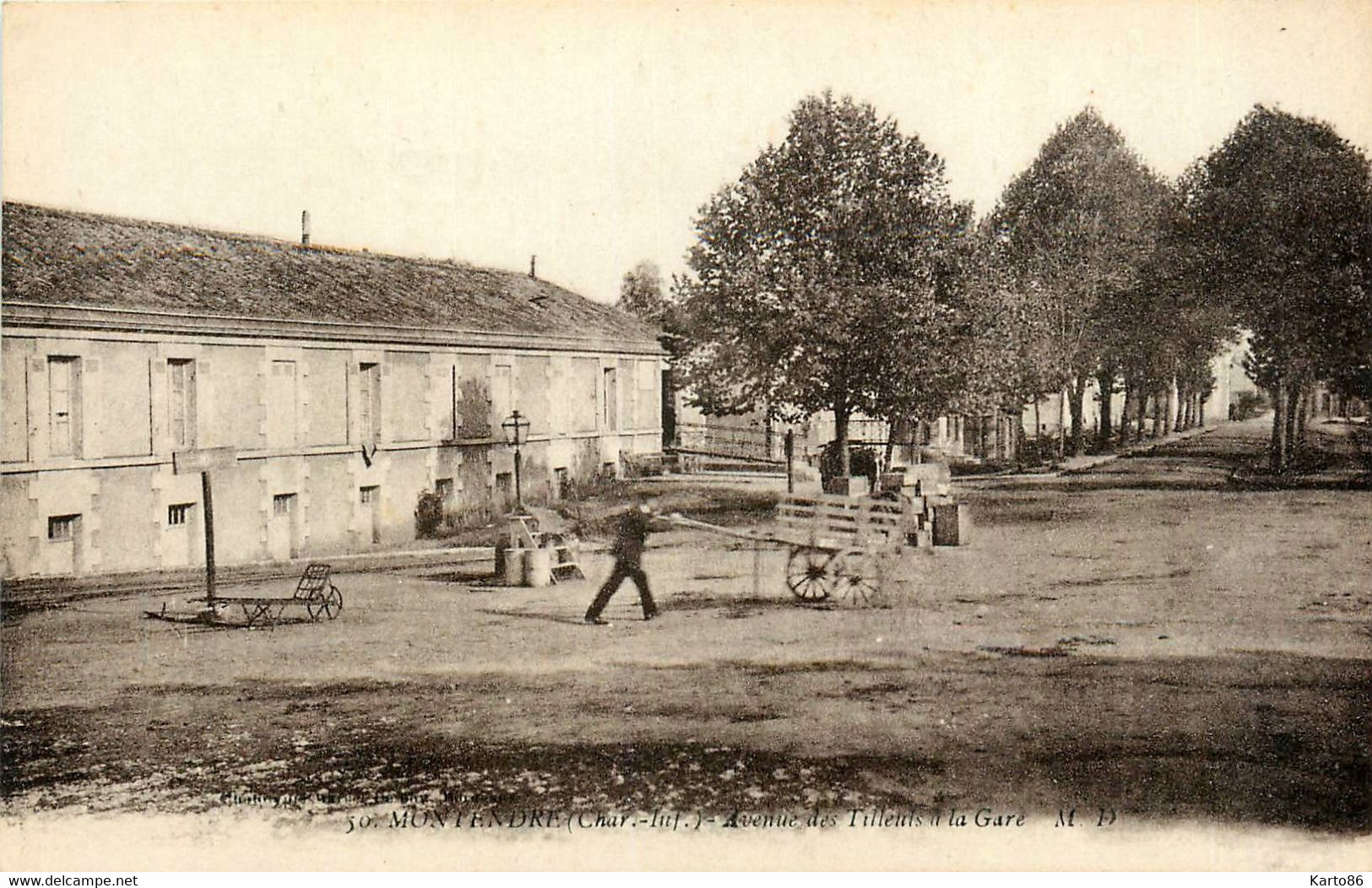 Montendre * Avenue Des Tilleuls à La Gare - Montendre