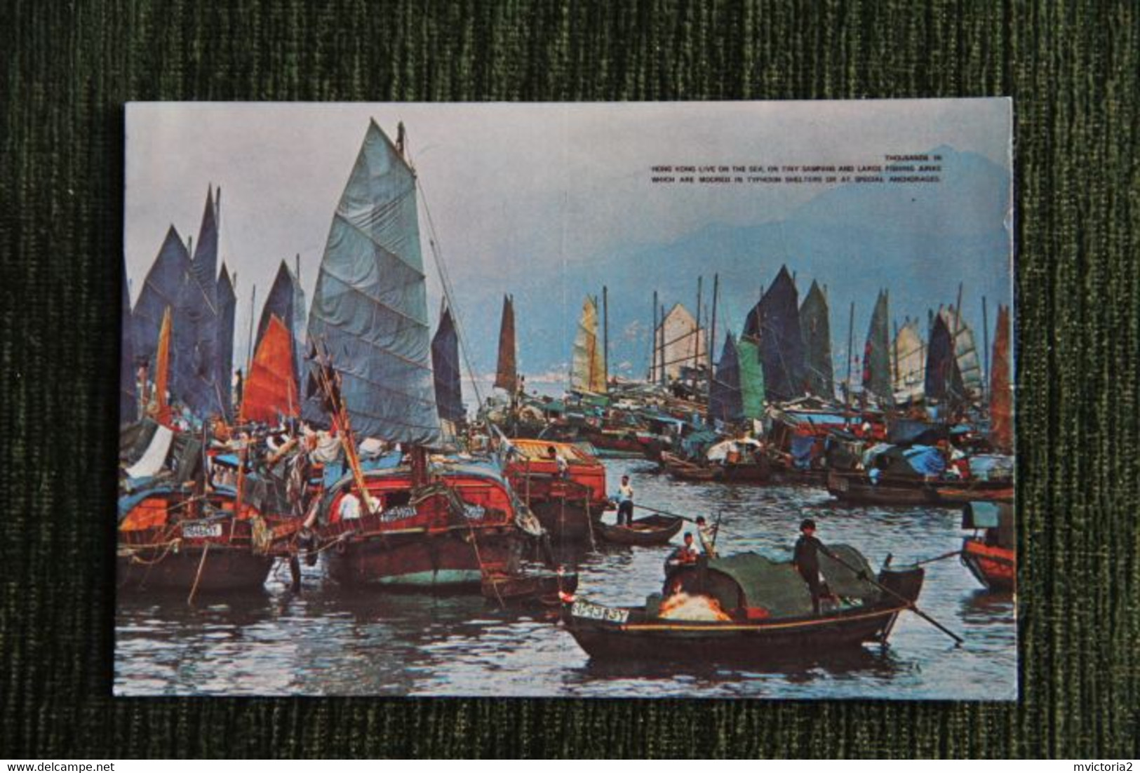 HONG KONG - Floating People In Castle Peak Bay. - Chine (Hong Kong)