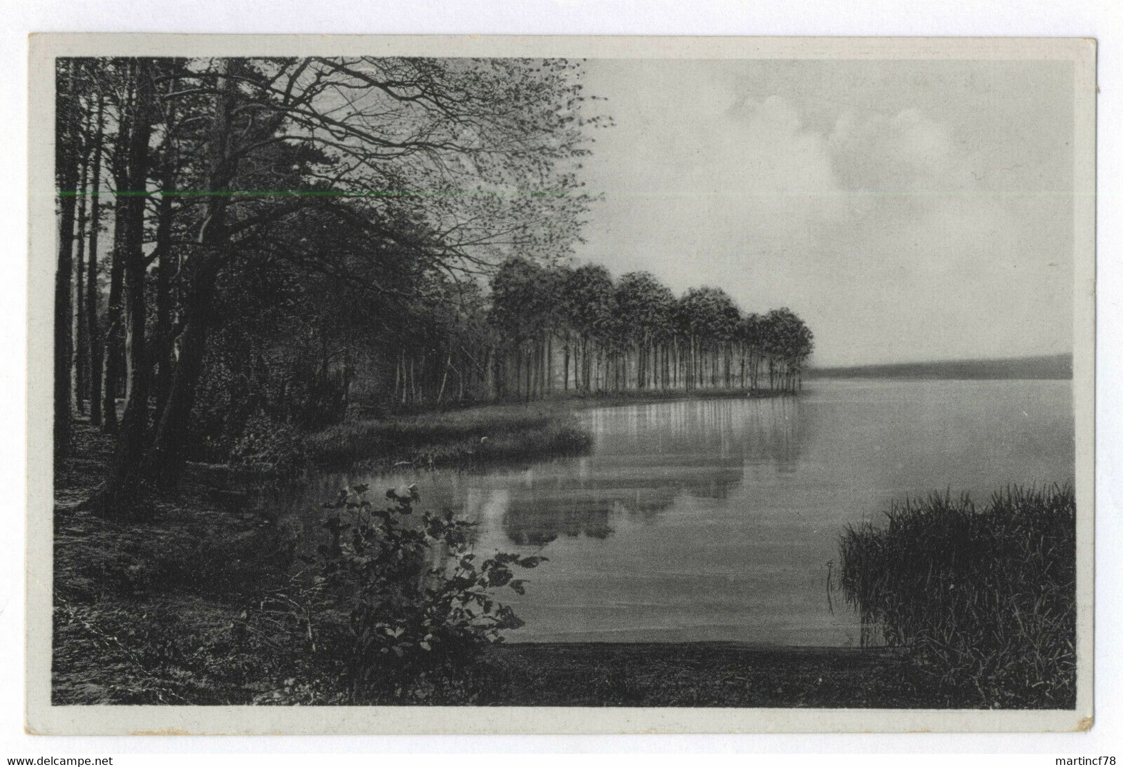 Berlin Uferpartie Am Schlachtensee 1940 Postkarte Ansichtskarte - Steglitz