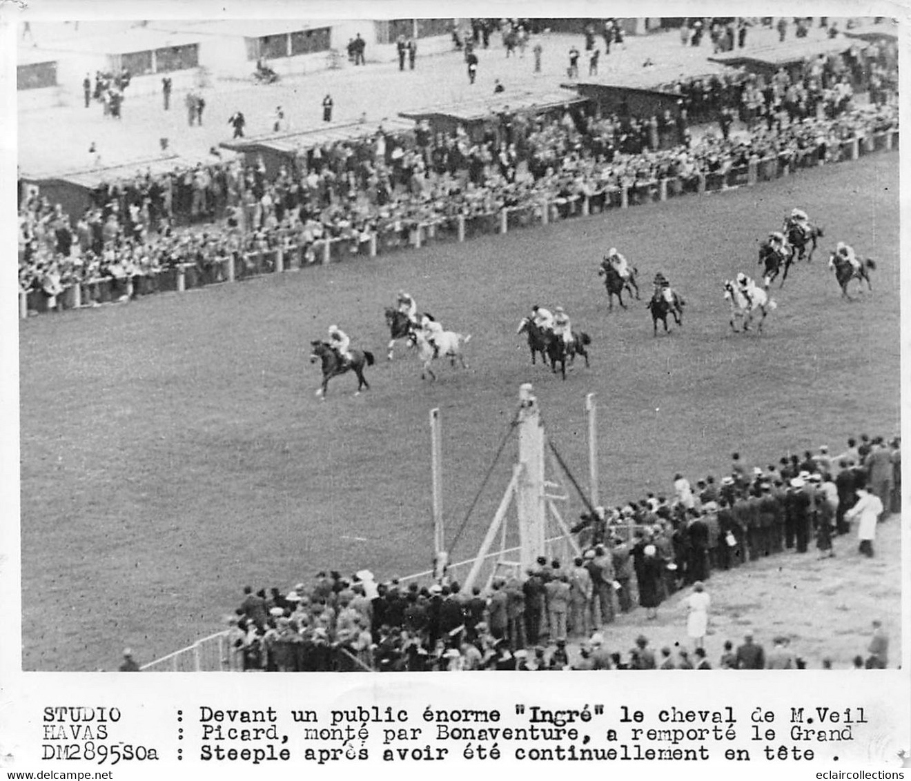 Photographie  Hippisme  Le Cheval Ingré Monté Par Bonaventure Grand Steeple    (voir Scan Et Commentaires) - Sports