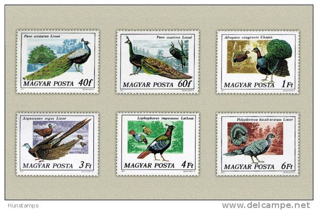 Hungary 1977. Animals / Birds Peacocks Complete Set MNH (**) Michel: 3185-3190 / 4.50 EUR - Paons