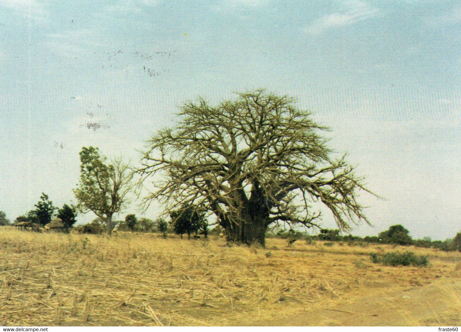 ~~ Le Baobab , à Ses Pieds Des Cases Mossi (beau Timbre) - Burkina Faso