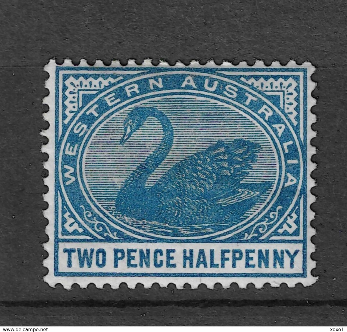 Western Australia 1890/93 MiNr. 36  Westaustralien Birds Black Swan MLH 13,00 € - Mint Stamps