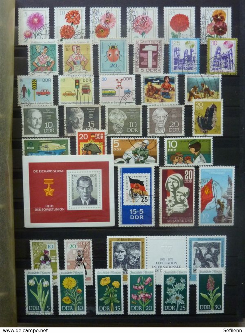 DDR/Deutsche Demokratische Republik  in 3 stockbooks + approx. 160 grams OFF PAPER stamps