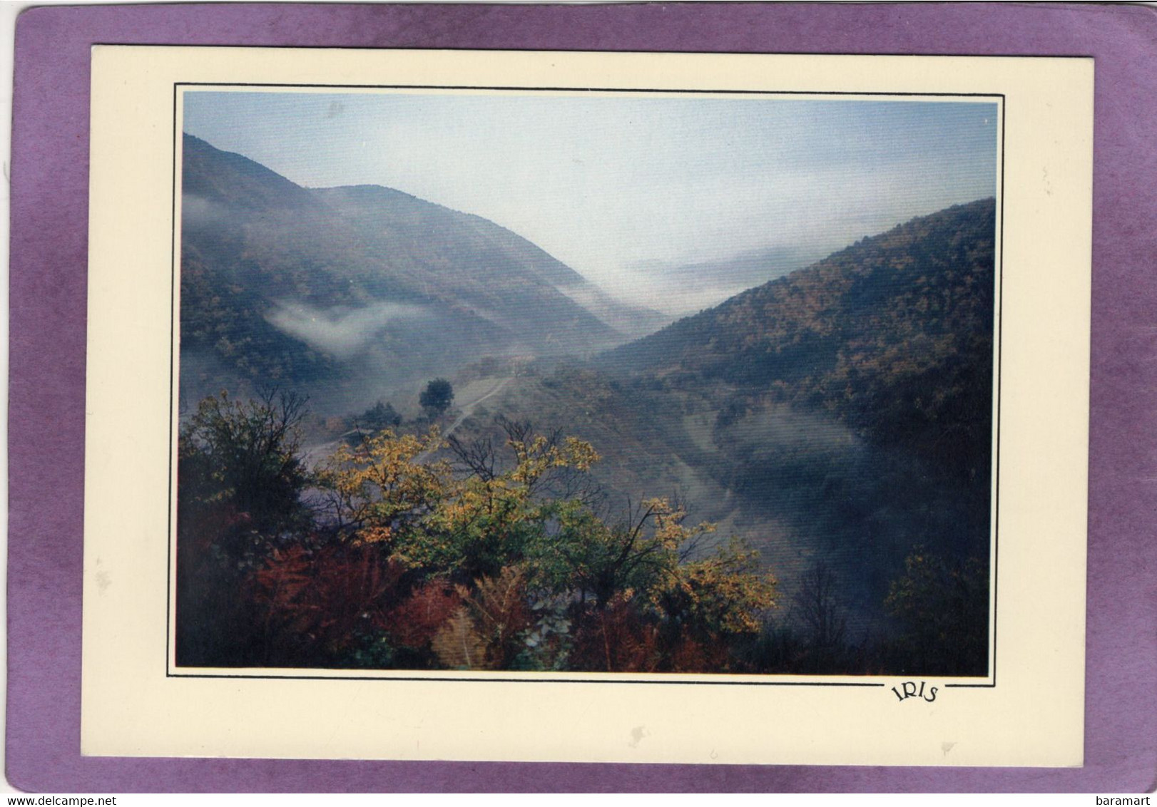 30 Notre-Dame-de-la-Rouvière Reflet Des Cévennes Brume Et Pluie D'automne Vers Le Col De La Triballe Tribale  St Martial - Notre-Dame-de-la-Rouvière