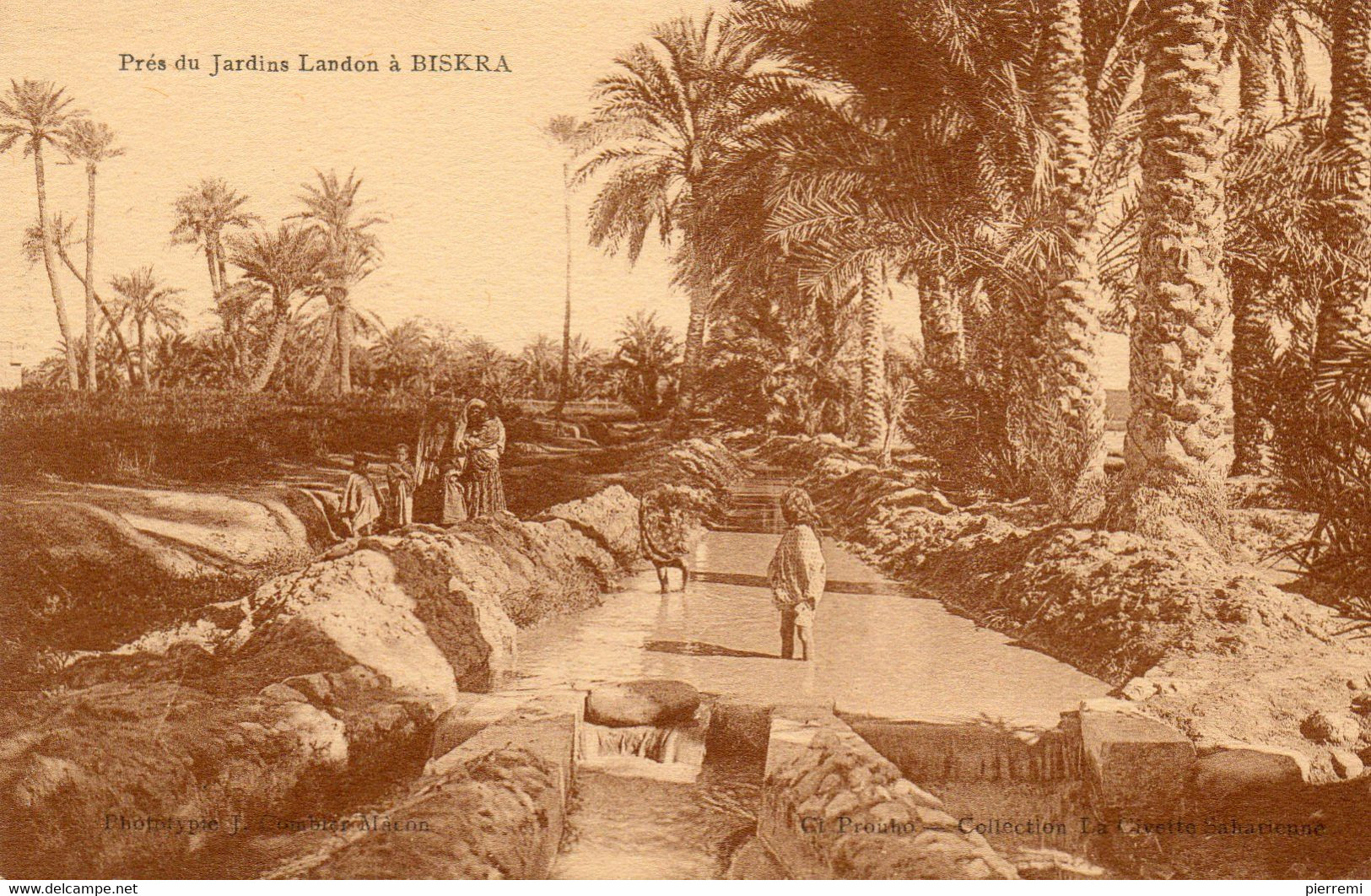 BISKRA   Pres Du Jardin LANDON - Biskra