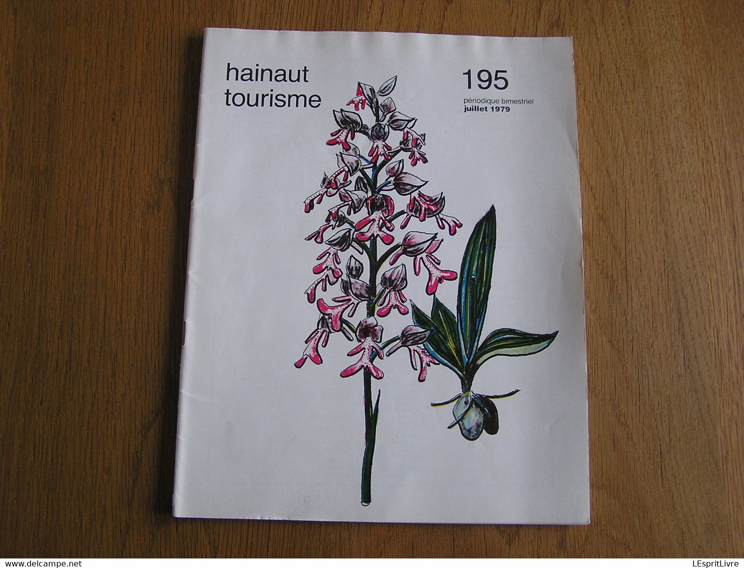 HAINAUT TOURISME N° 195  Régionalisme Virelles Gardes Françaises En Hainaut Bois Du Luc Tournai Fermes - Belgique