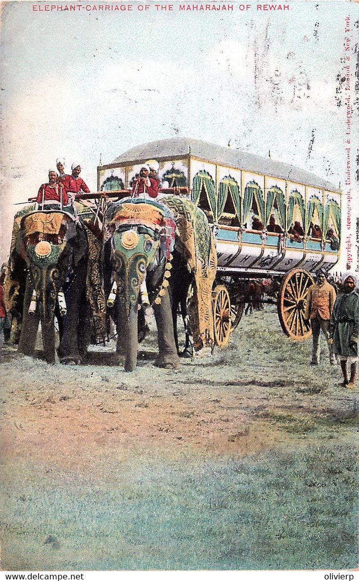Inde - Elephants Carriage Of The Maharajah Of Rewah - India