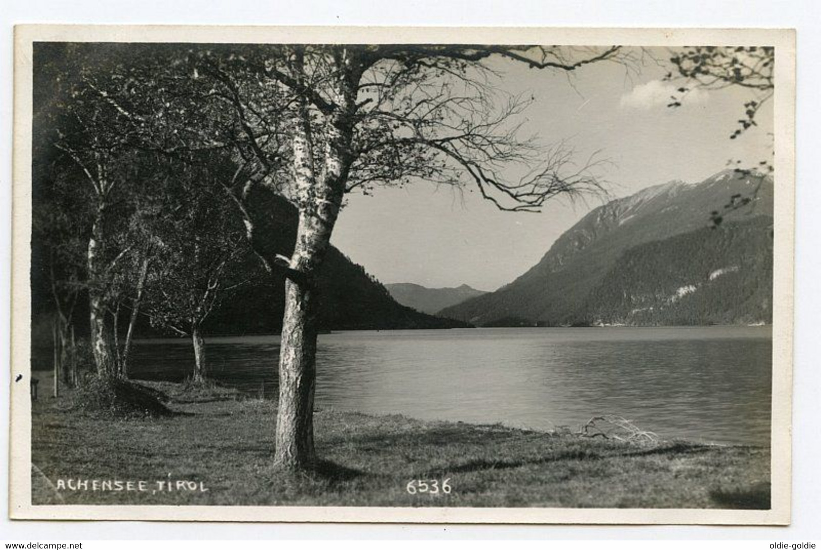 Achensee Tirol Austria Österreich Postcard Unused 1926 - Pertisau