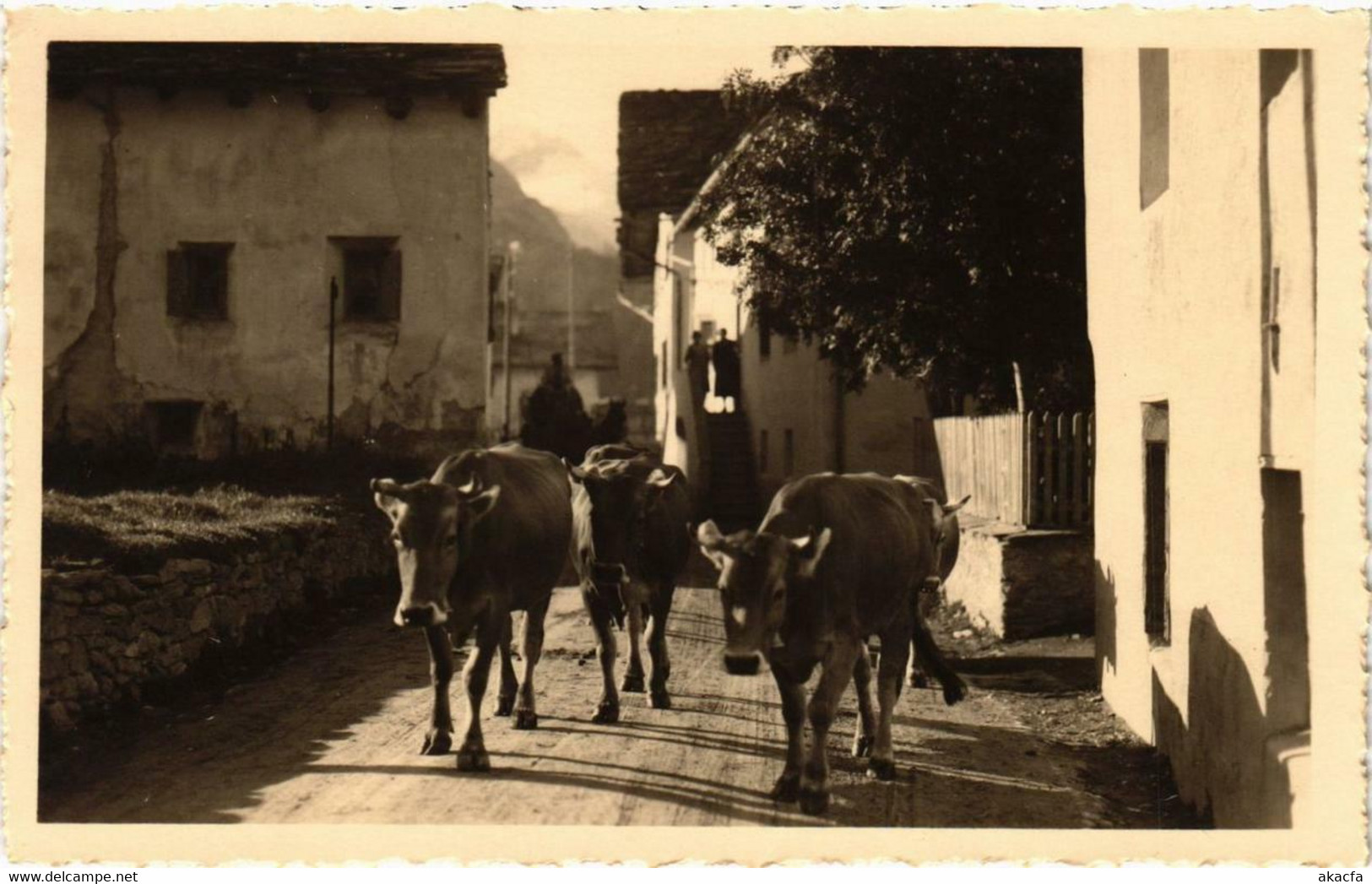 CPA AK SILS Im ENGADIN Dorfstrasse In Baseglia SWITZERLAND (705290) - Sils Im Engadin/Segl