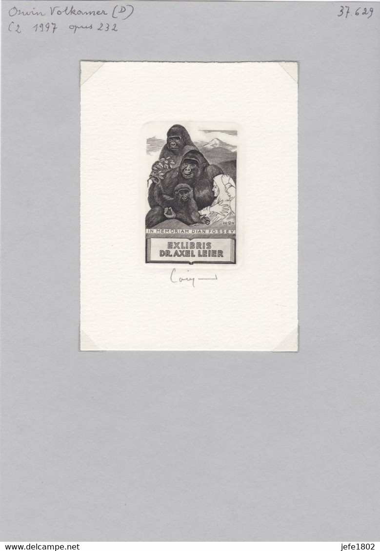 EX-Libris - Dian FOSSEY By Oswin Volkamer (D) 1997 - In Memoriam Dian Fossey - GORILLA Family - Bookplates