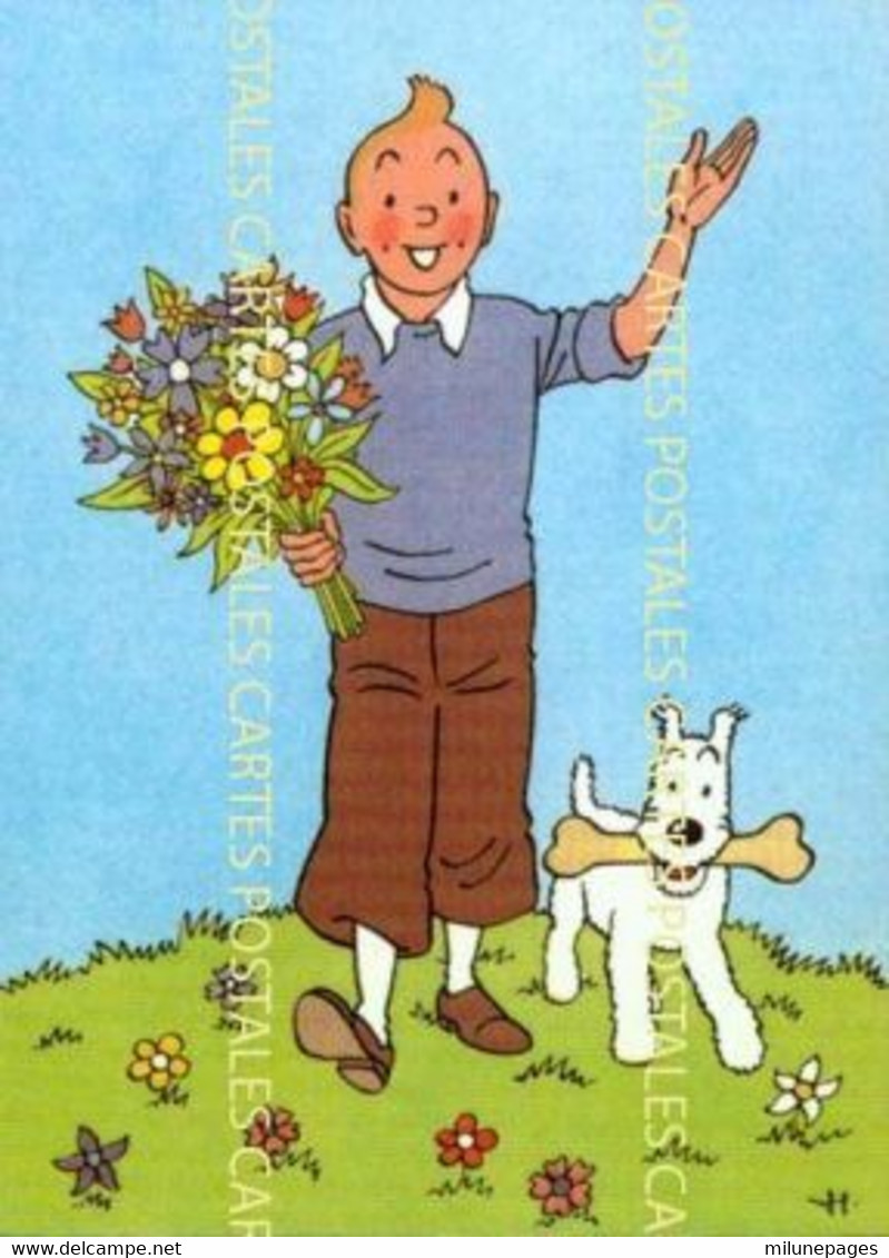 TINTIN Saluant Avec Un Bouquet De Fleurs Et Milou Et Son Os Carte Offerte Par Les Biscuits Delacre Moulinsart 2004 - Hergé