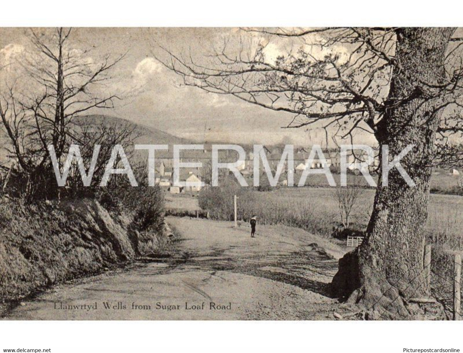 LLANWRTYD WELLS FROM SUGAR LOAF ROAD OLD B/W POSTCARD WALES - Breconshire