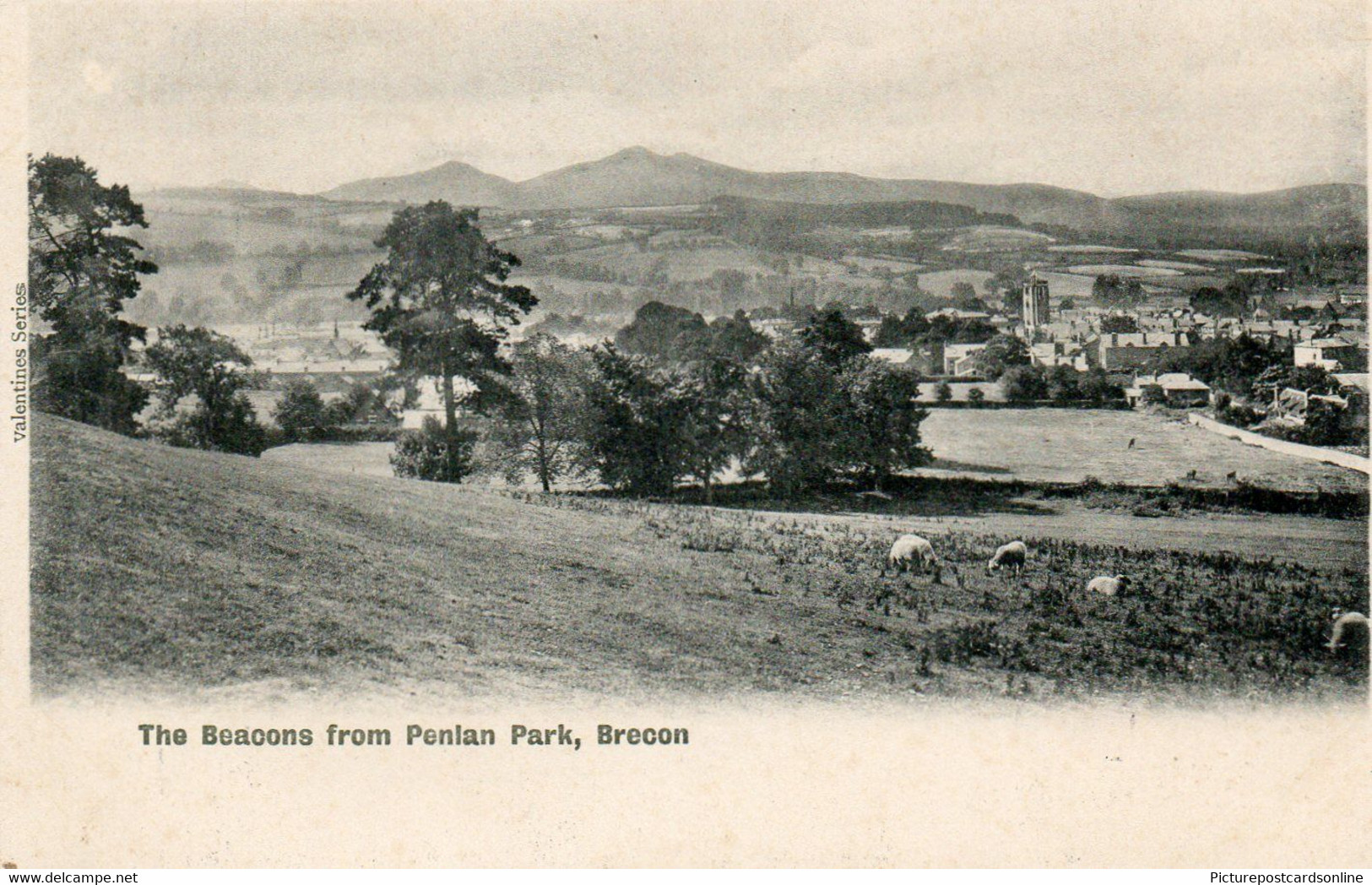 BRECON THE BEACONS FROM PENLAN PARK OLD B/W POSTCARD WALES UNDIVIDED BACK - Breconshire