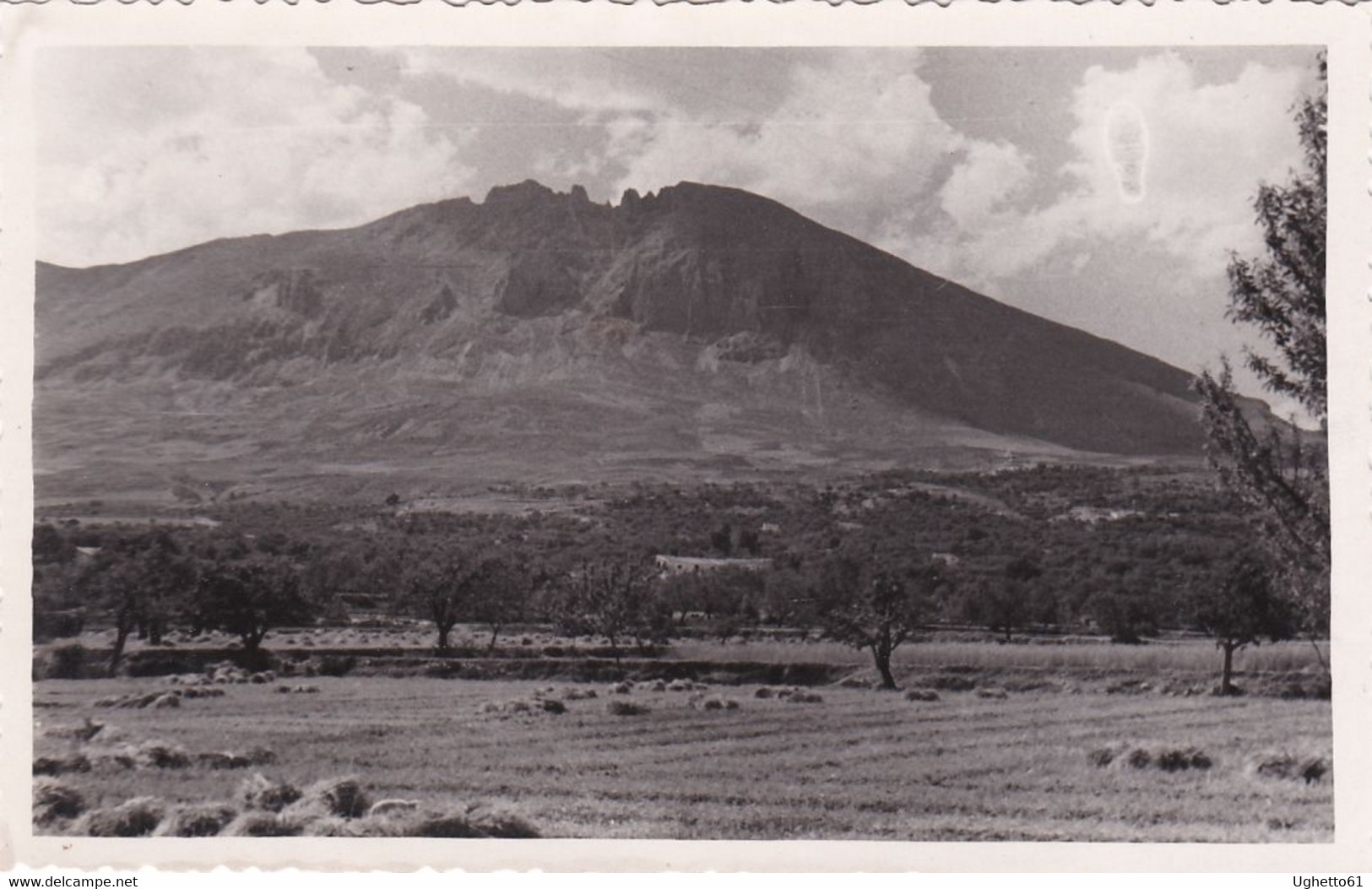 El Mahimon Velez-Rubio (Almeria) - Almería