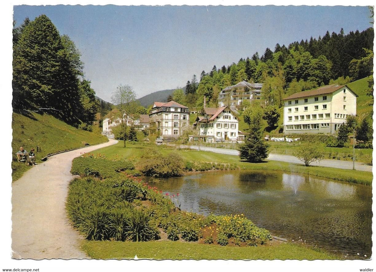 7624  BAD RIPPOLDSAU  1971 - Bad Rippoldsau - Schapbach