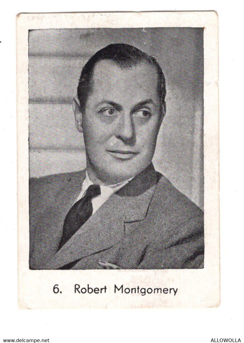 11860 " ROBERT MONTGOMERY " VEDETTE DES FILMS METRO GOLDWYN MAYER - Other & Unclassified