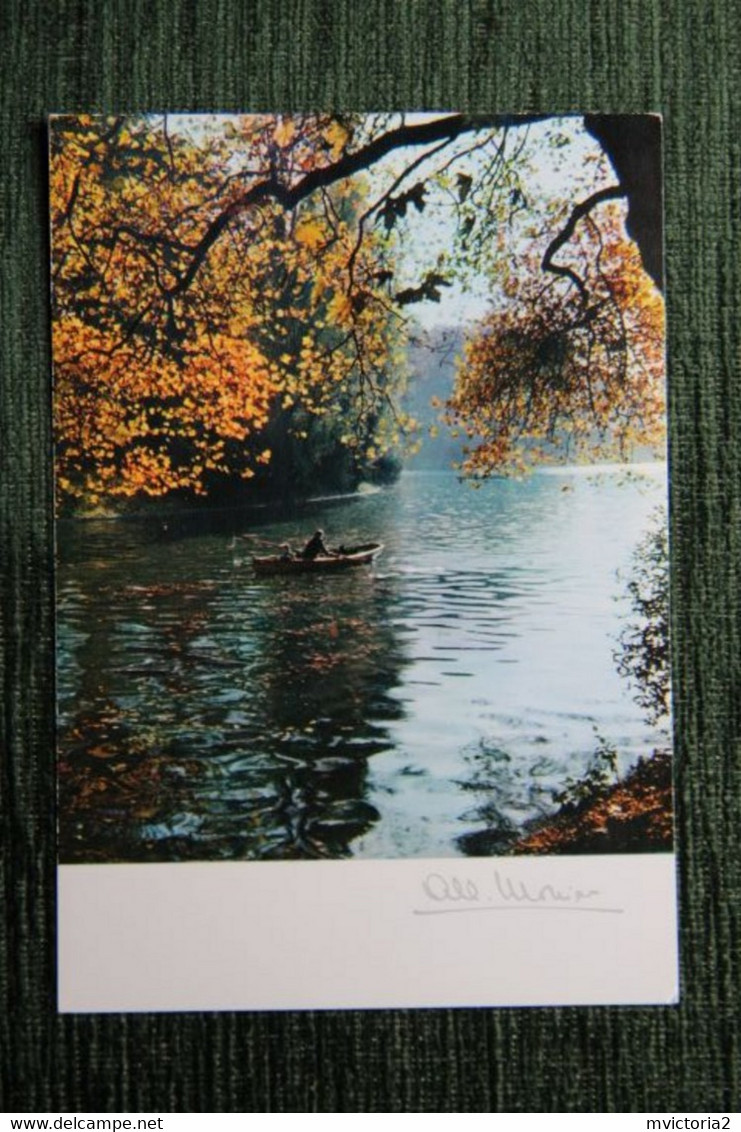 Photographe , Albert MONIER : PARIS, Au Bois De BOULOGNE. - Monier