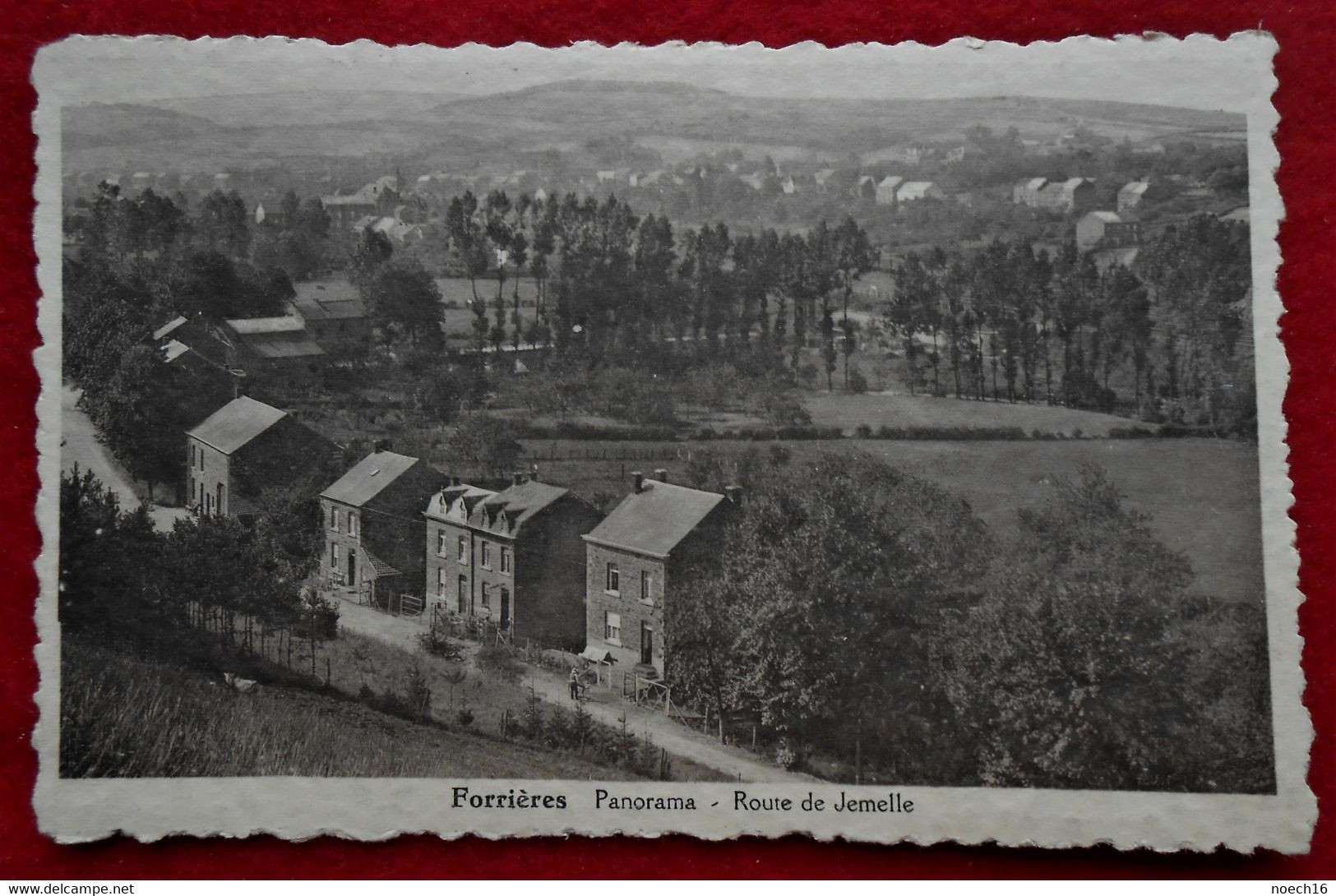 CPA 1939 Forrières, Nassogne - Panorama - Route De Jemelle - Nassogne