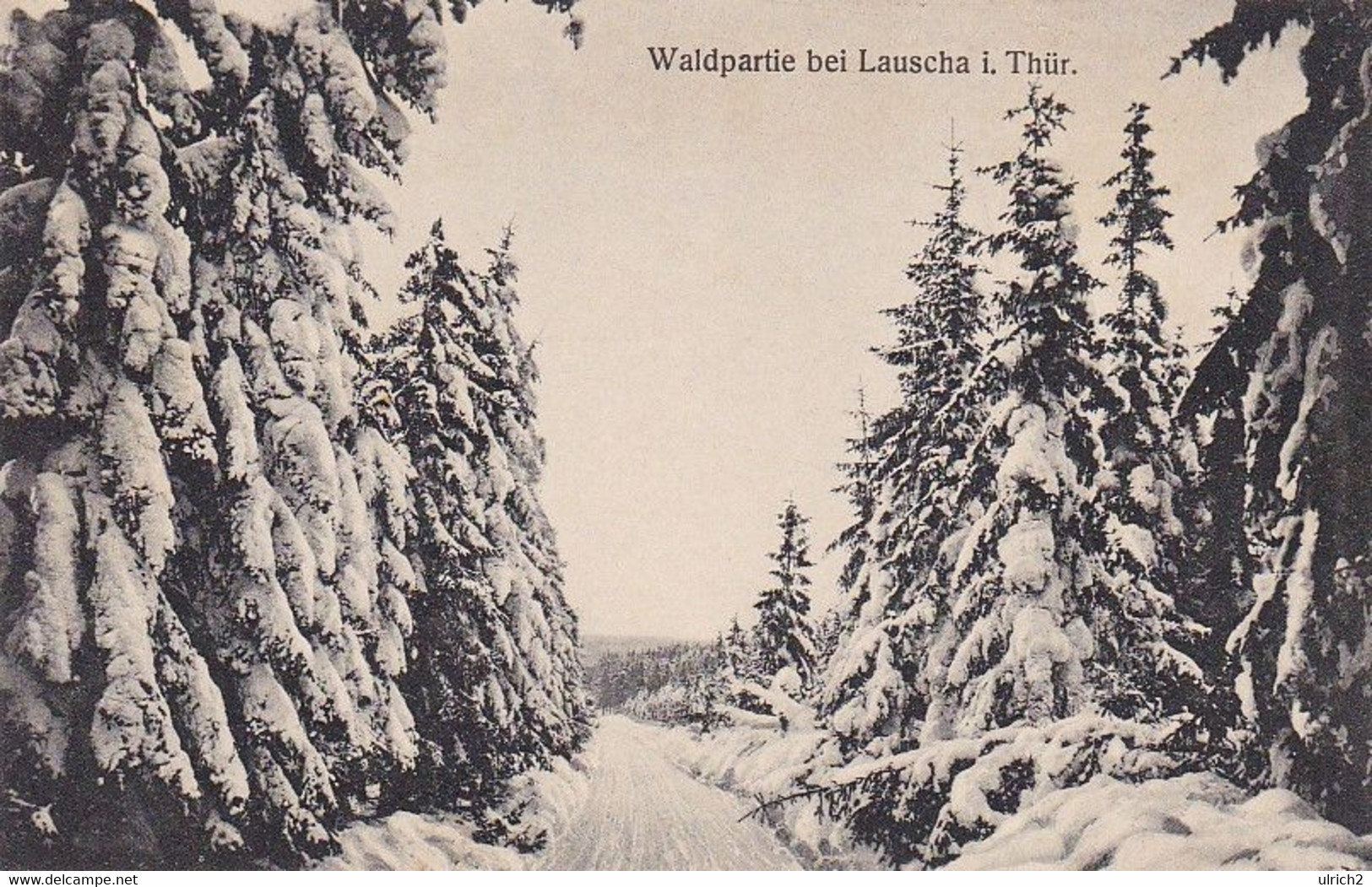 AK Waldpartie Bei Lauscha I. Thür. - Wald Winter Schnee - Ca. 1910  (55553) - Lauscha