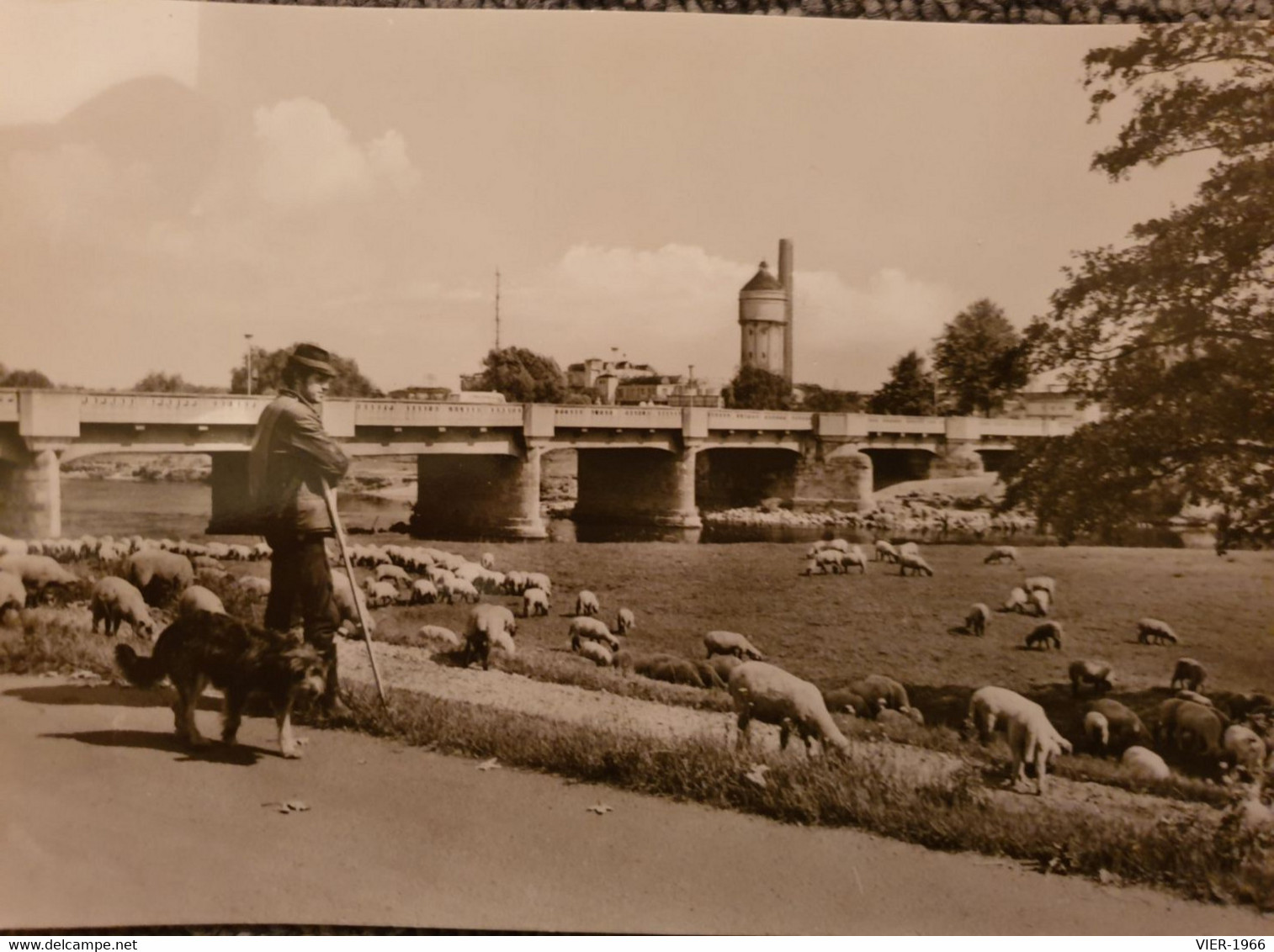 AK Eilenburg  Torgauer Brücke - Schäfer Mit Herde+Hund - 1980 - Eilenburg